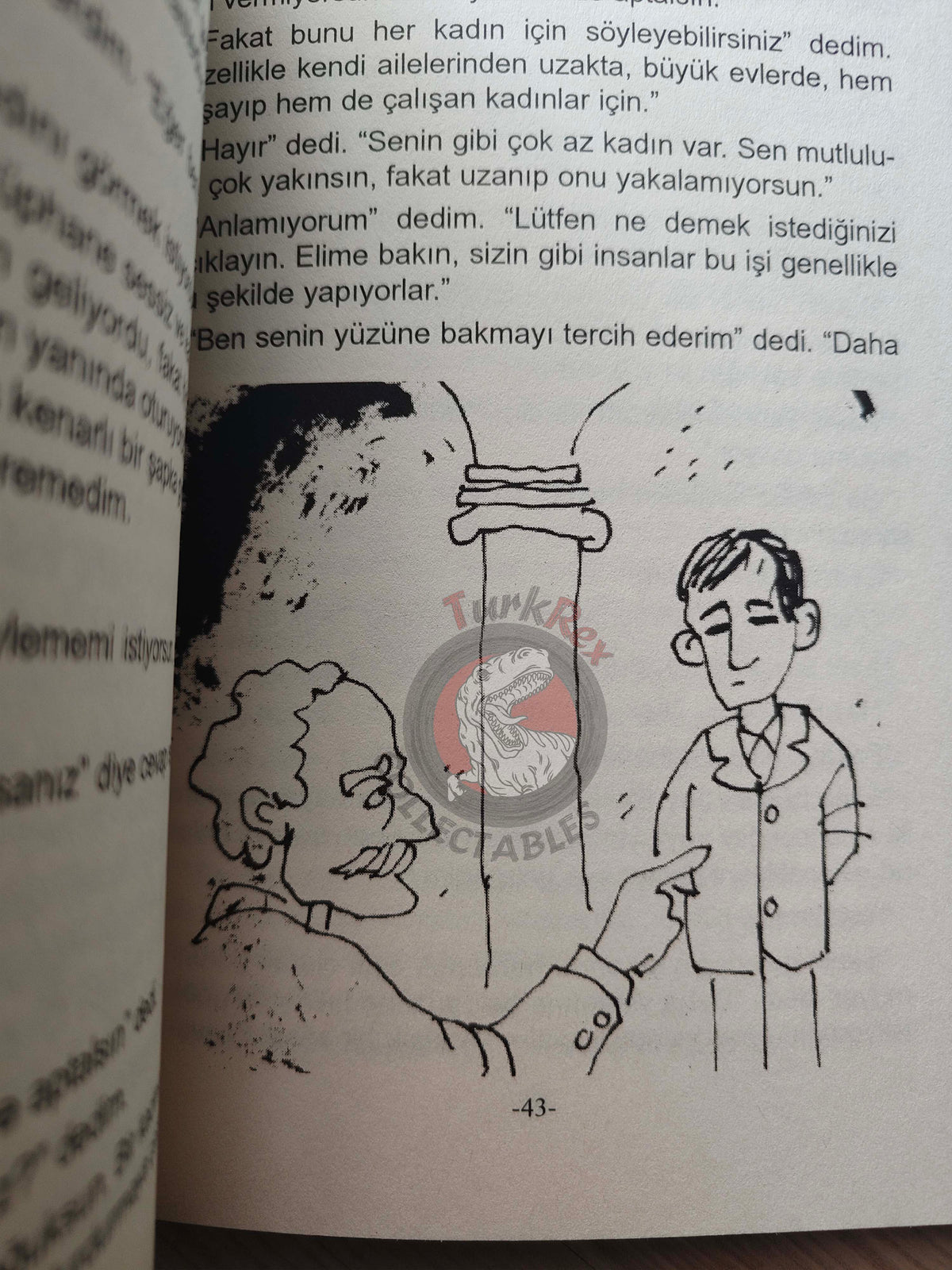 Charlotte Brontë – Jane Eyre 2011 Turkish Book Turkey Illustrated