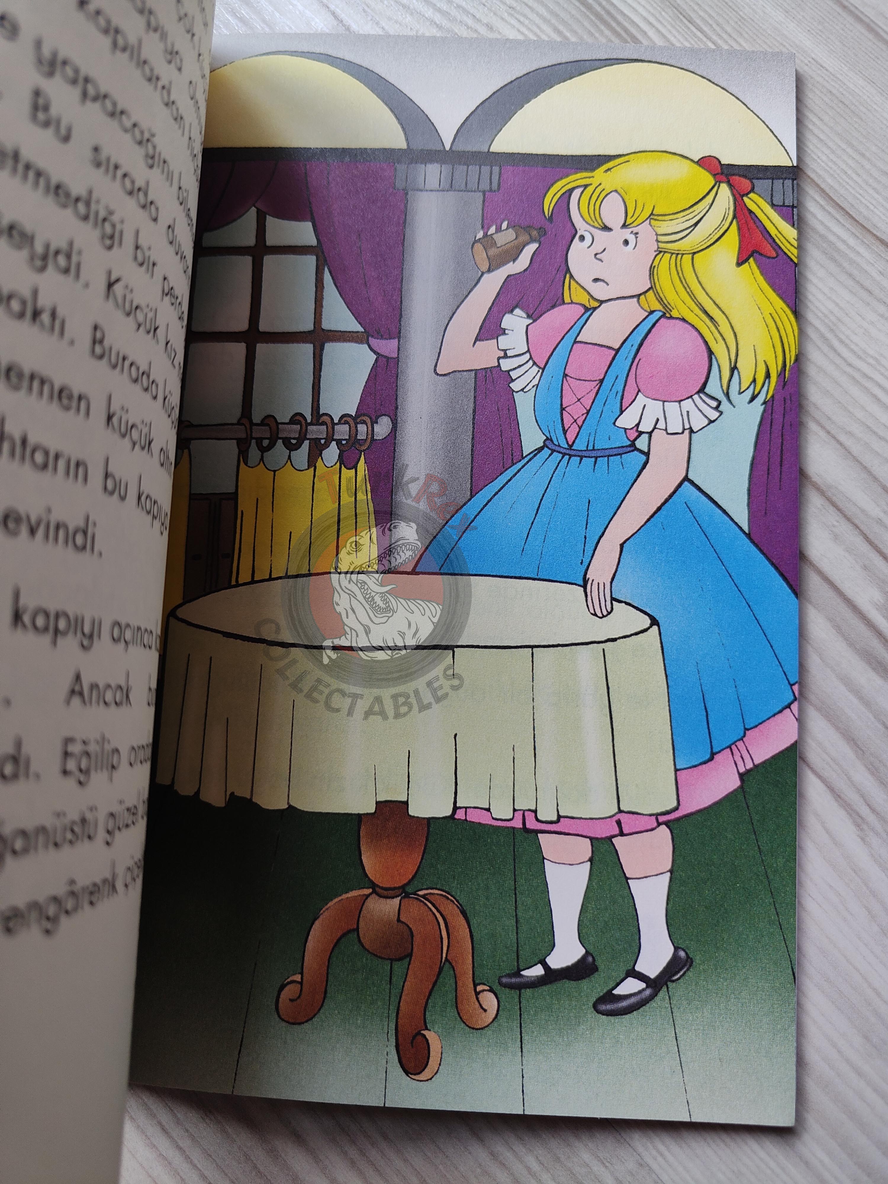 Lewis Carroll – Alice in Wonderland 2009 Turkish Book Turkey Illustrated Gülinaz