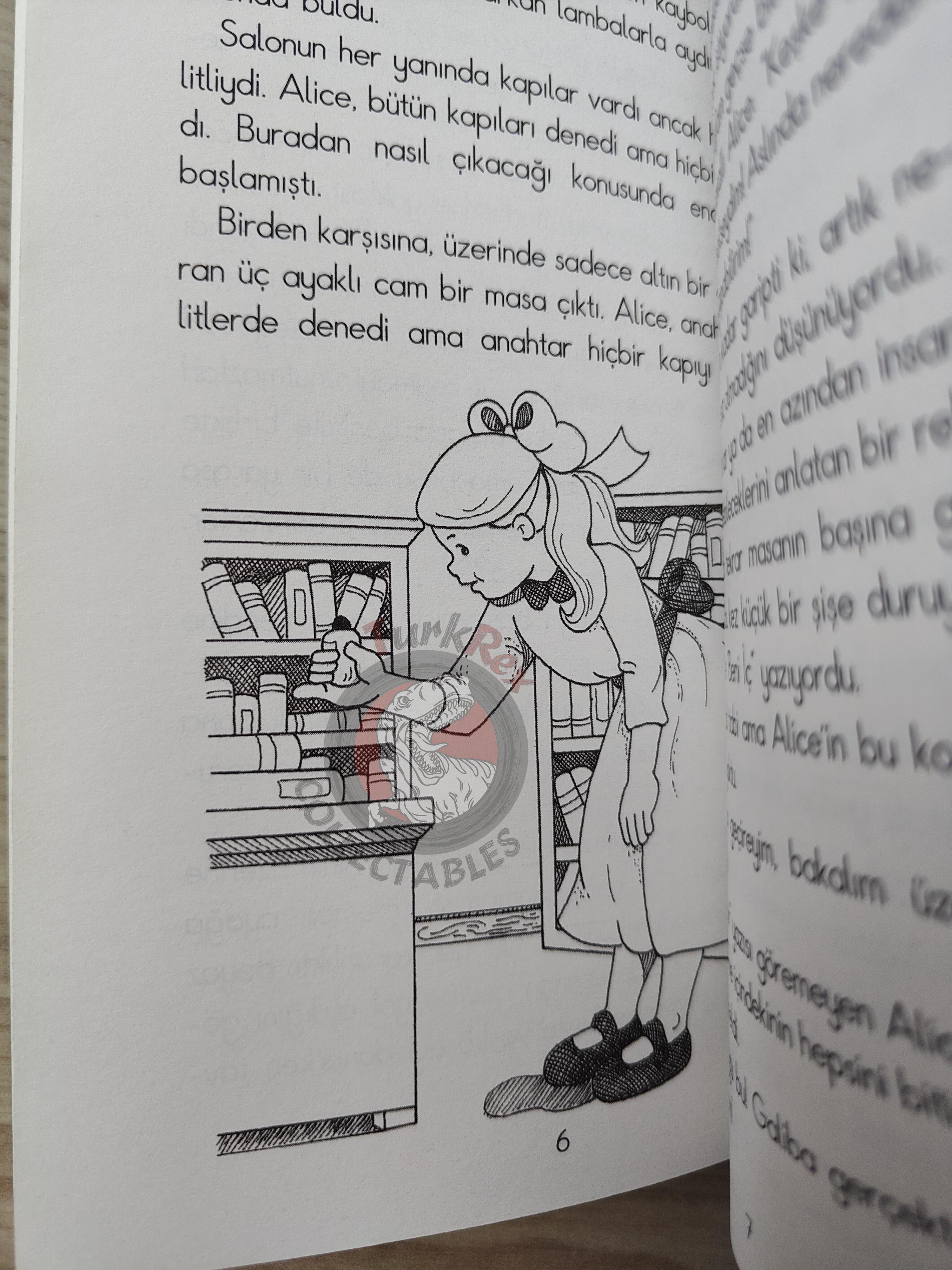 Lewis Carroll – Alice in Wonderland 2009 Turkish Book Turkey Illustrated