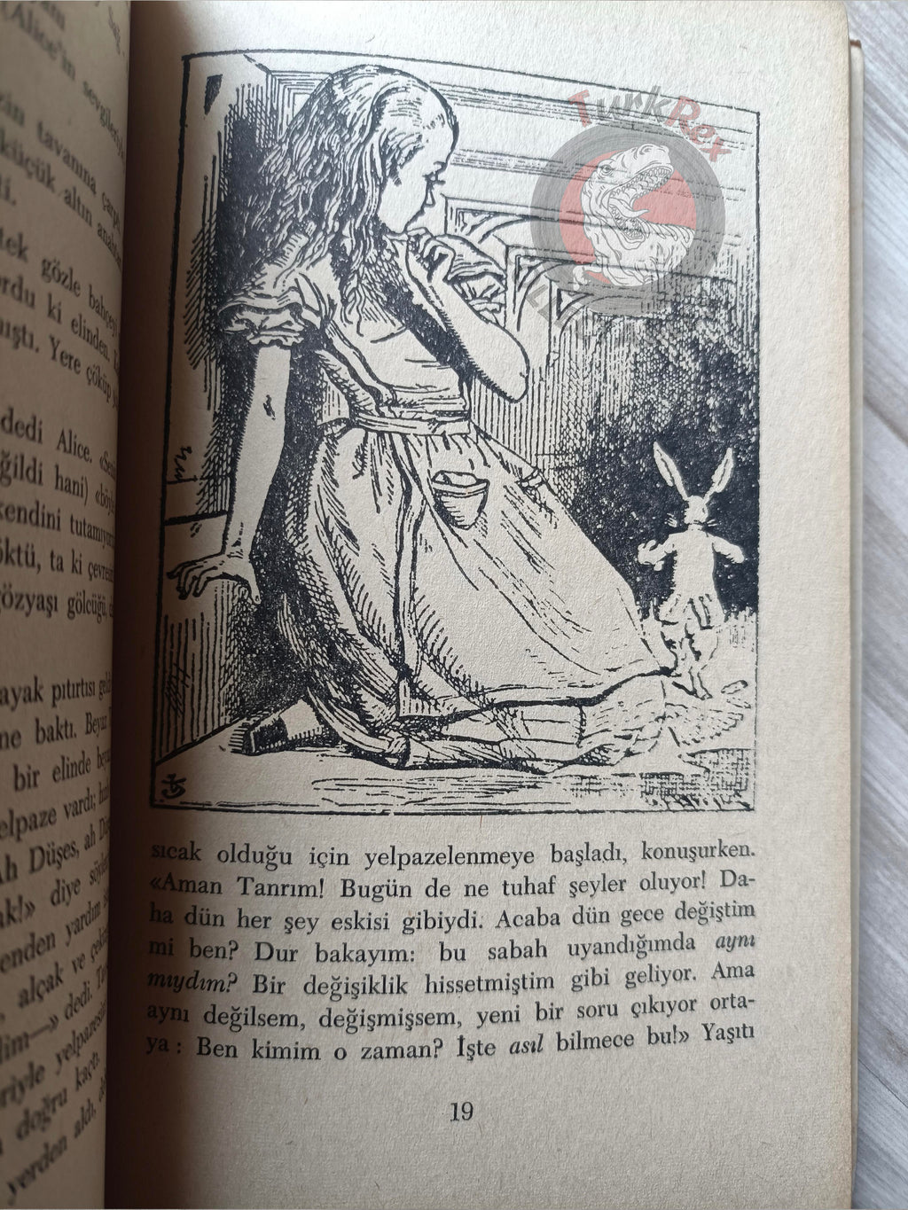 Lewis Carroll – Alice in Wonderland 1969 Turkish Book Turkey Illustrated John Tenniel