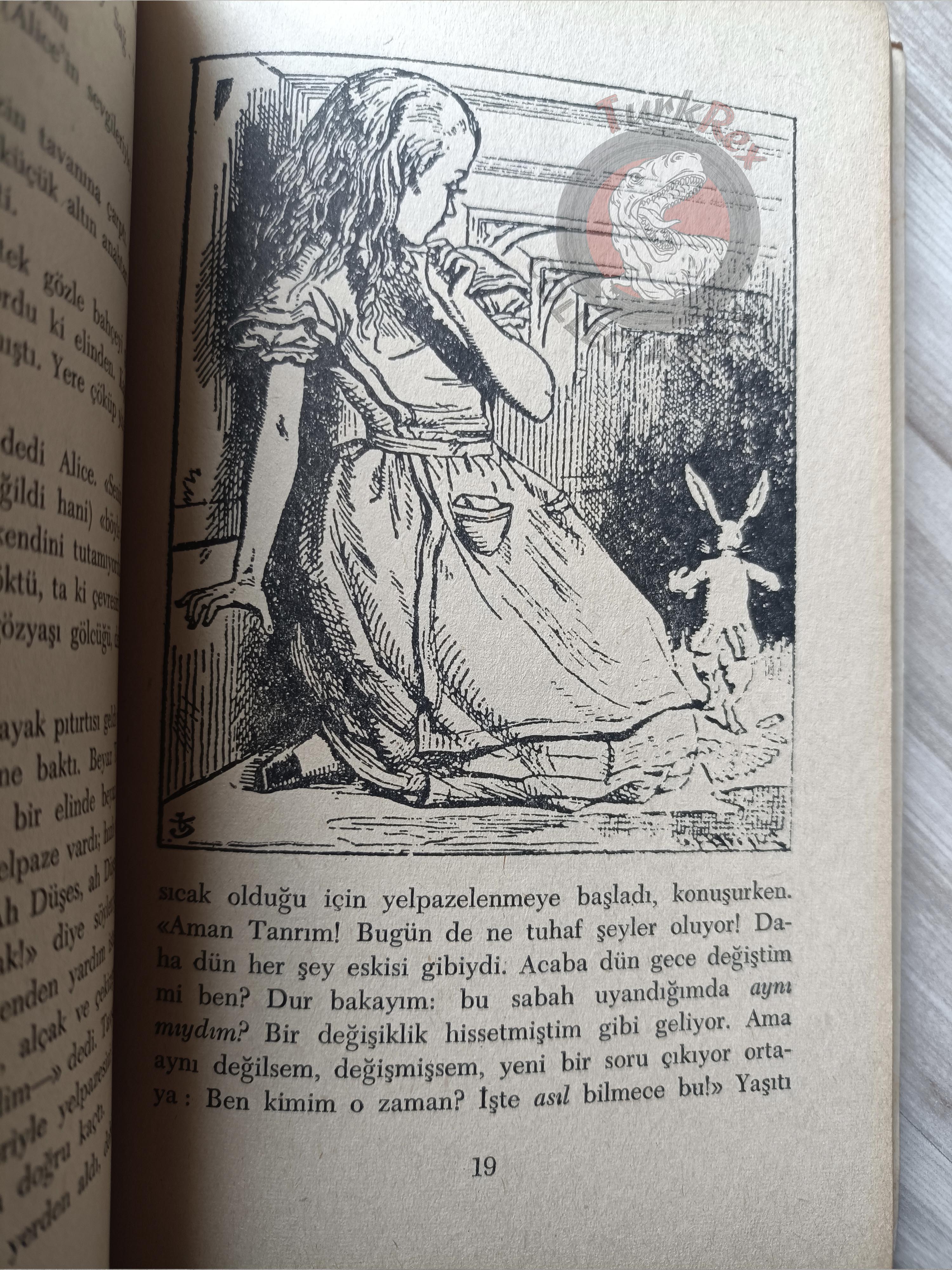 Lewis Carroll – Alice in Wonderland 1969 Turkish Book Turkey Illustrated John Tenniel