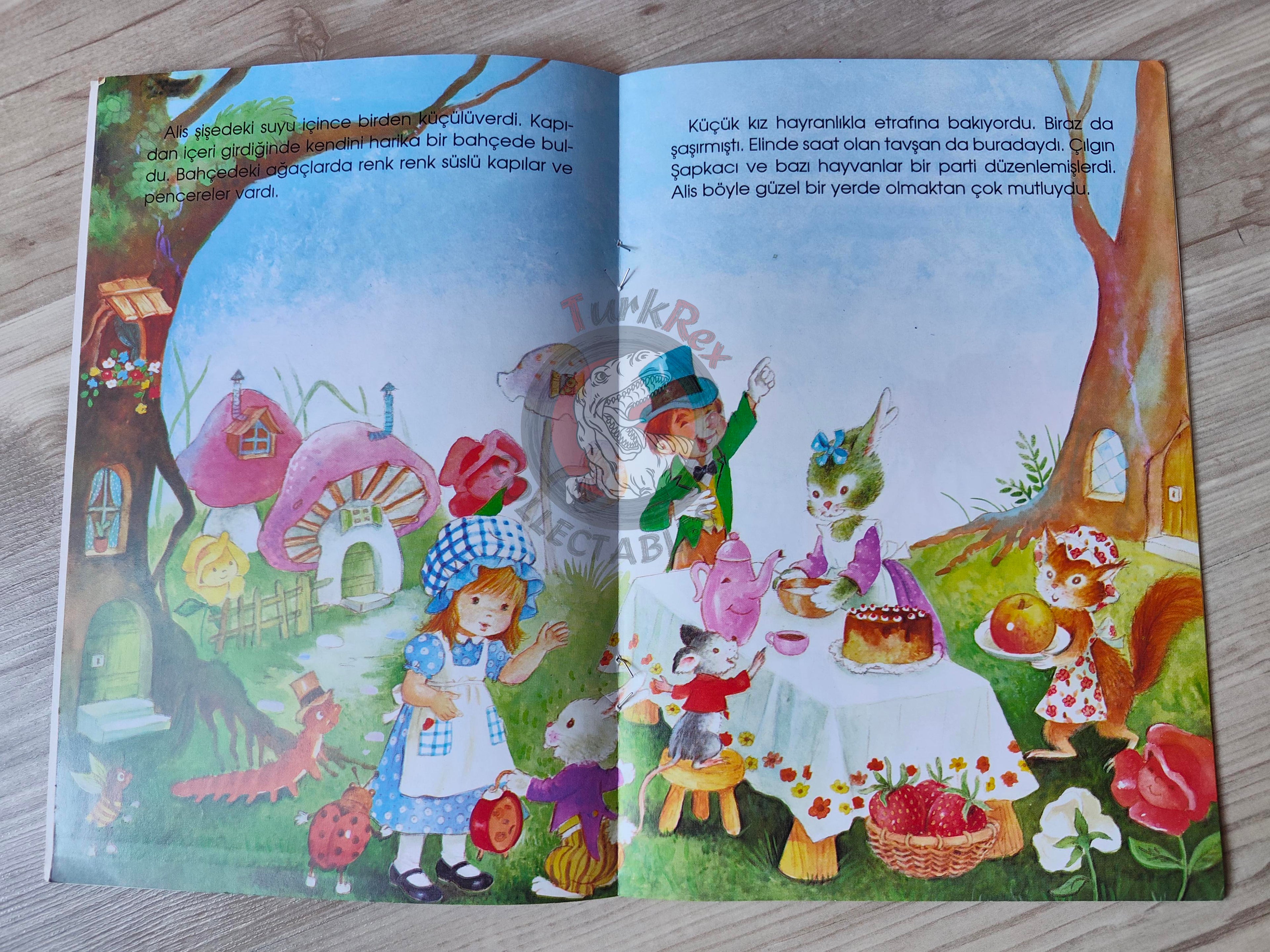 Lewis Carroll – Alice in Wonderland 2006 Turkish Book Turkey Illustrated Constanza