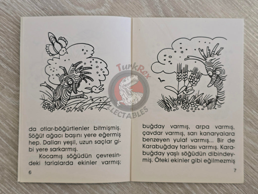 Hans Christian Andersen – The Buckwheat 1994 Turkish Book Turkey Illustrated