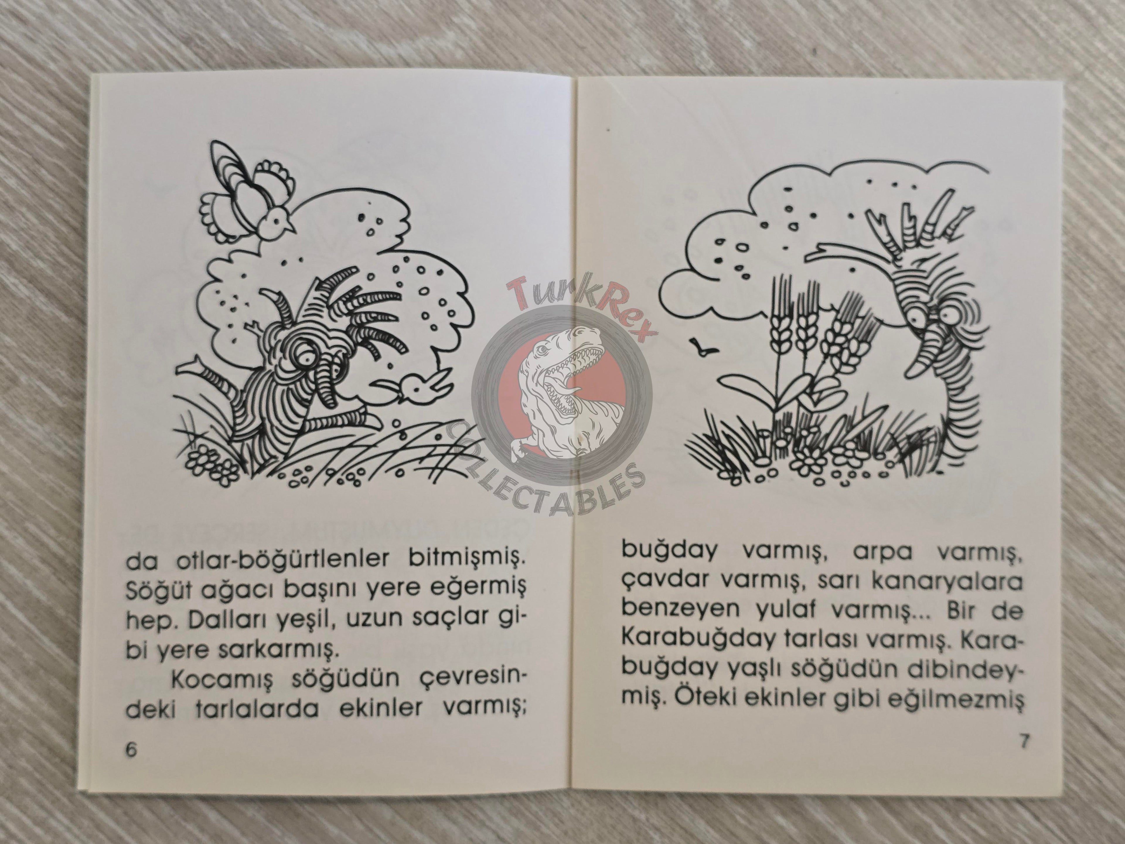 Hans Christian Andersen – The Buckwheat 1994 Turkish Book Turkey Illustrated