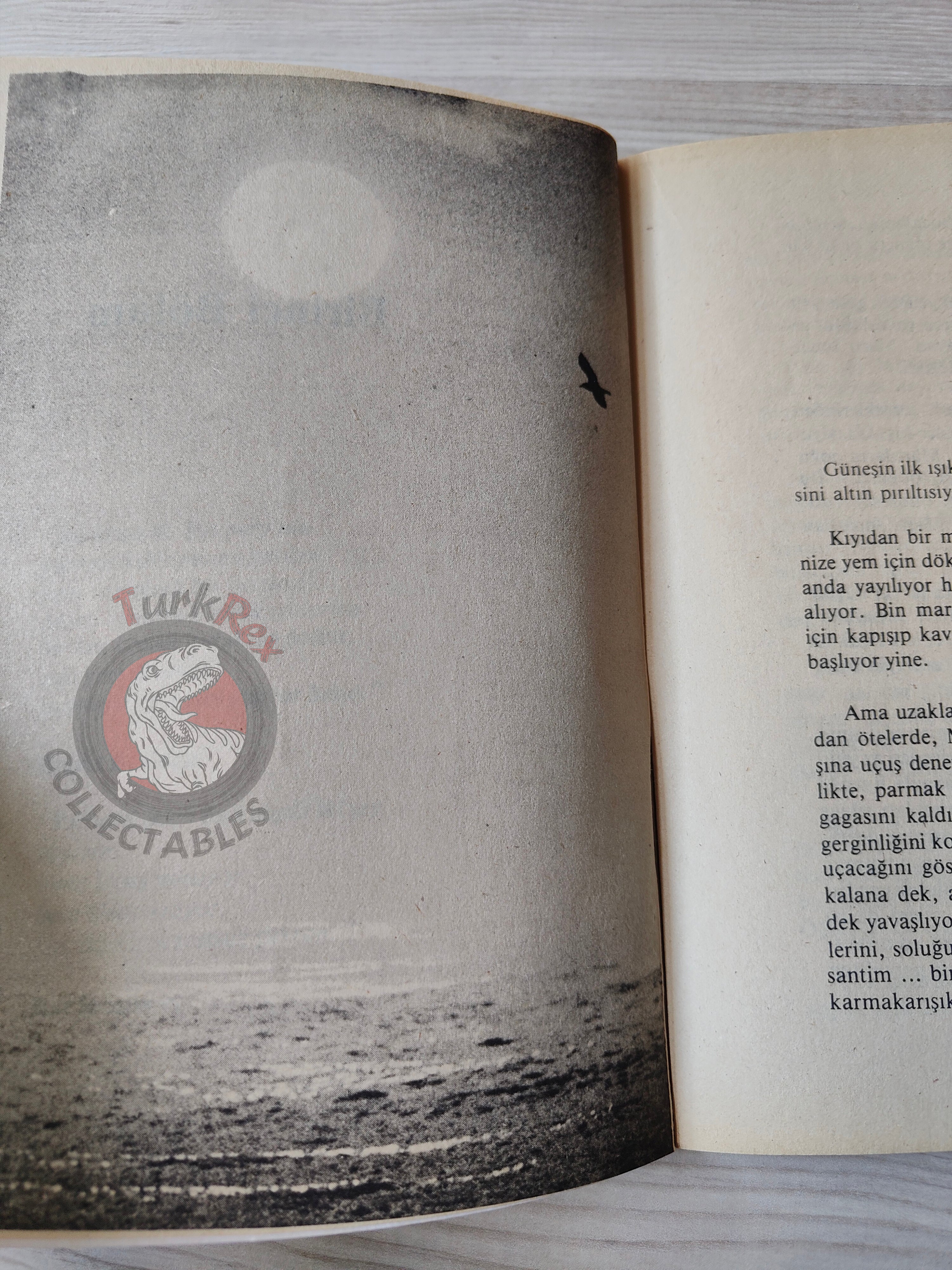 Richard Bach – Jonathan Livingston Seagull Turkish Book Turkey