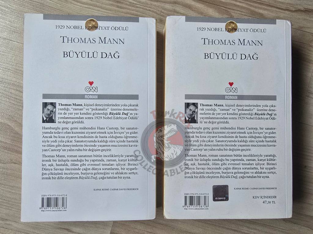 Thomas Mann – The Magic Mountain 2011 Turkish Book Turkey