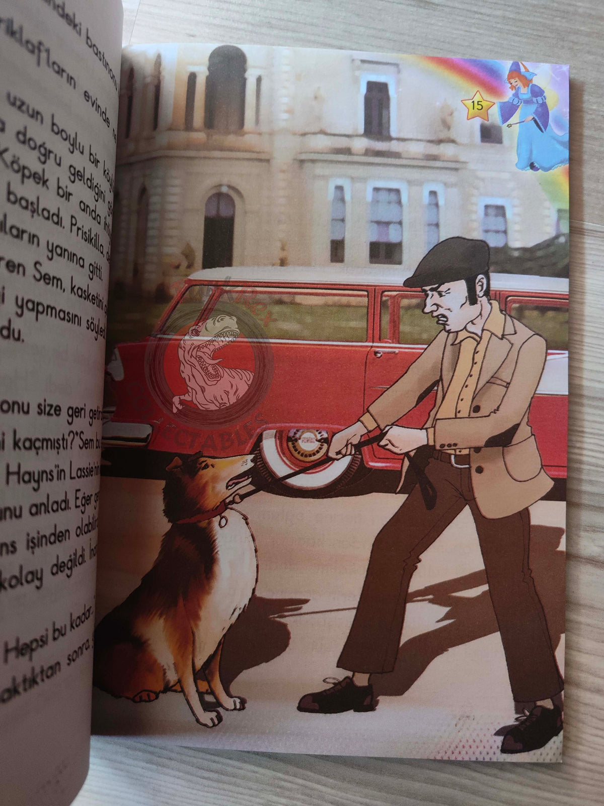 Eric Knight – Lassie 2010 Turkish Book Turkey Illustrated