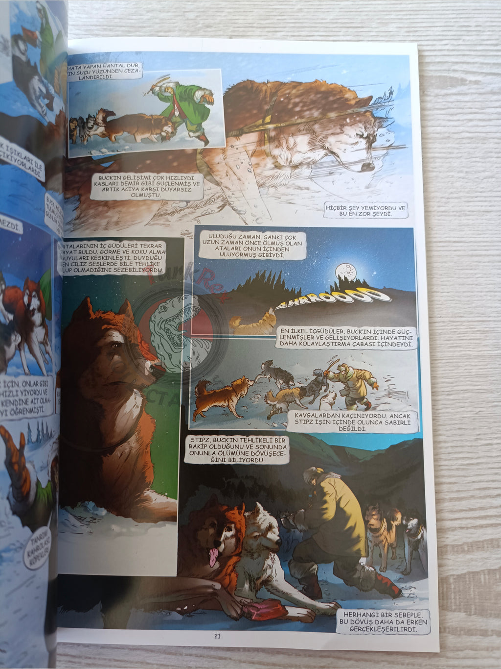The Call of the Wild  – Jack London Turkish Comic Turkey Campfire Classics