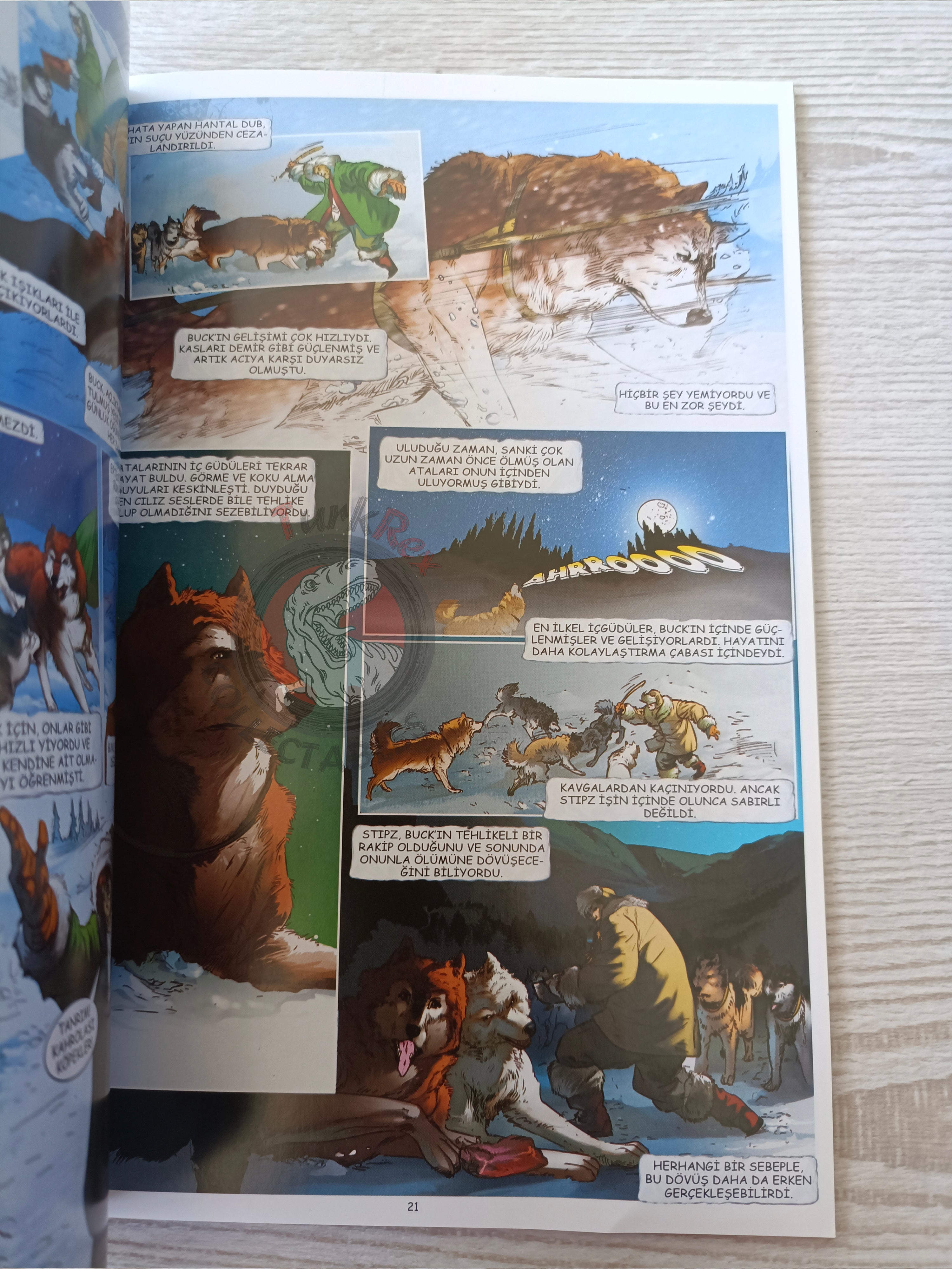 The Call of the Wild  – Jack London Turkish Comic Turkey Campfire Classics