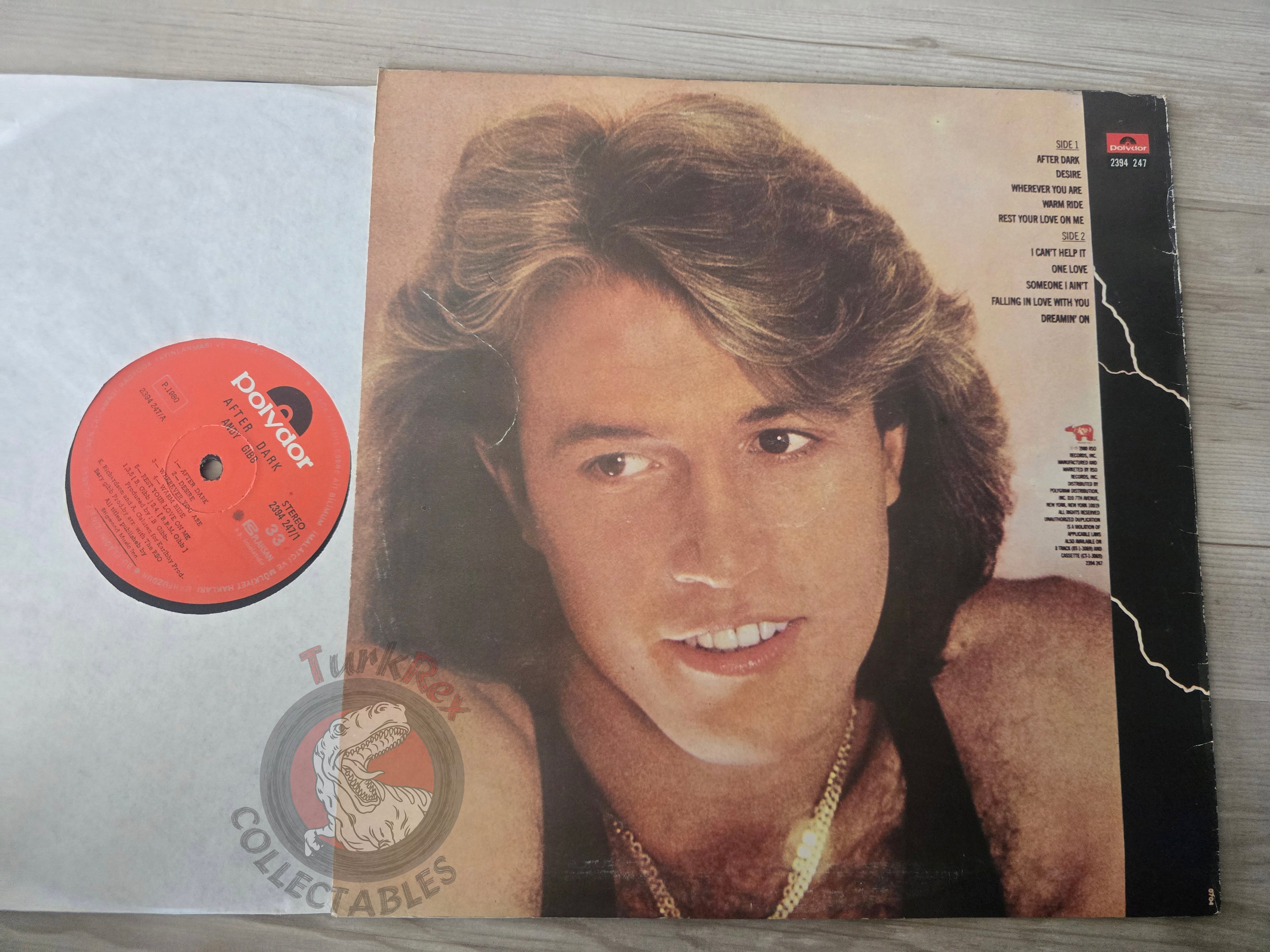 Andy Gibb – After Dark Turkish Pressing Vinyl Turkey Edition