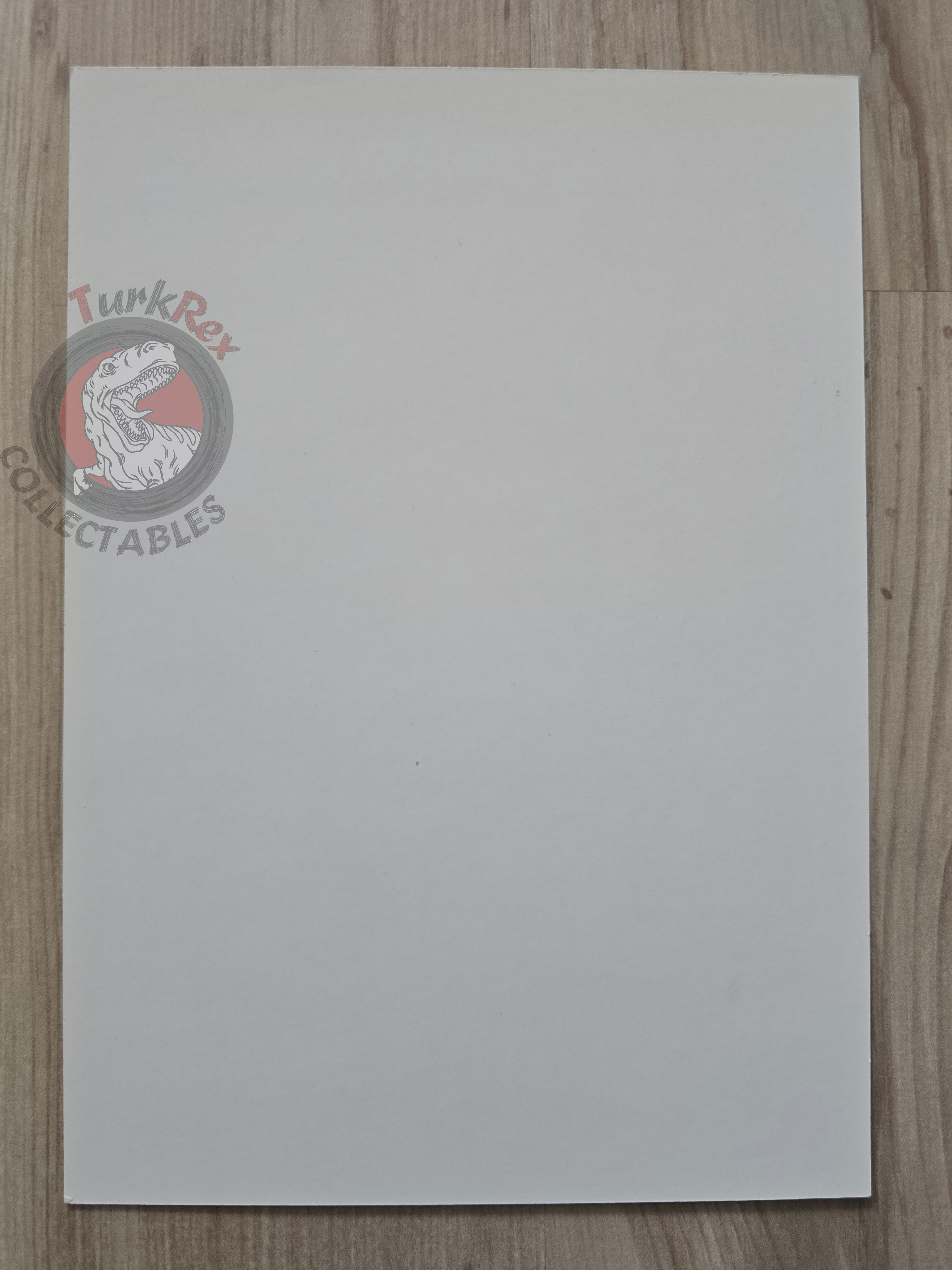 Greystorm Promotional Postcard #4 2010 Turkish Comic Turkey