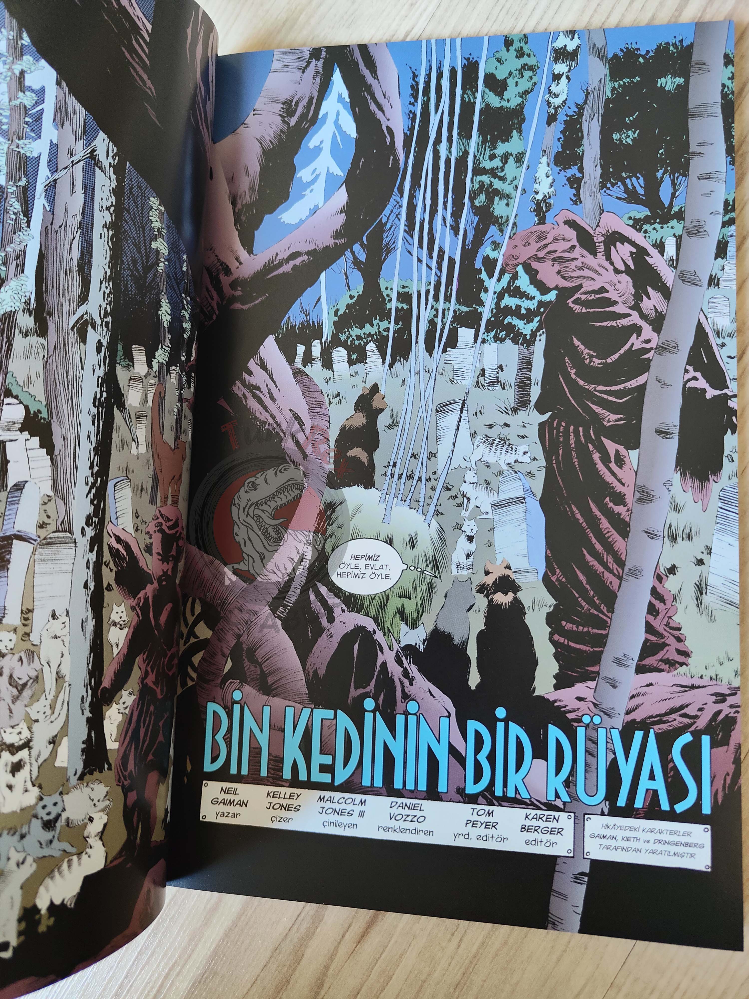 The Sandman Vol #3: Dream Country Turkish Comic Turkey