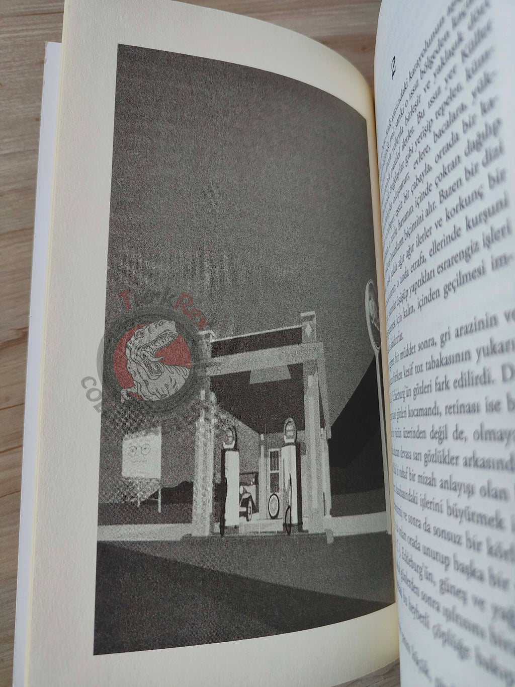 F. Scott Fitzgerald  – The Great Gatsby 2013 Illustrated Turkish Book Turkey