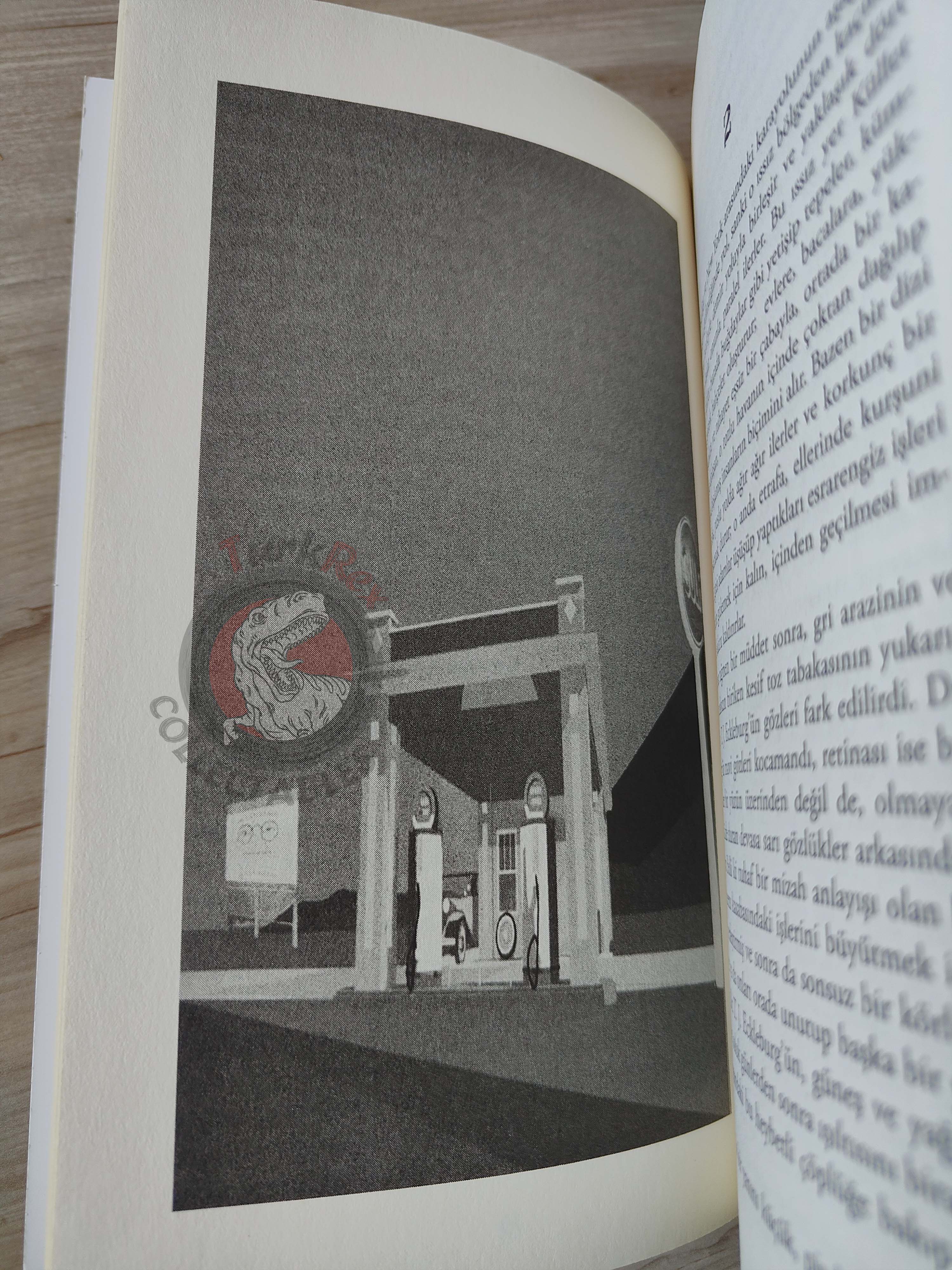 F. Scott Fitzgerald  – The Great Gatsby 2013 Illustrated Turkish Book Turkey
