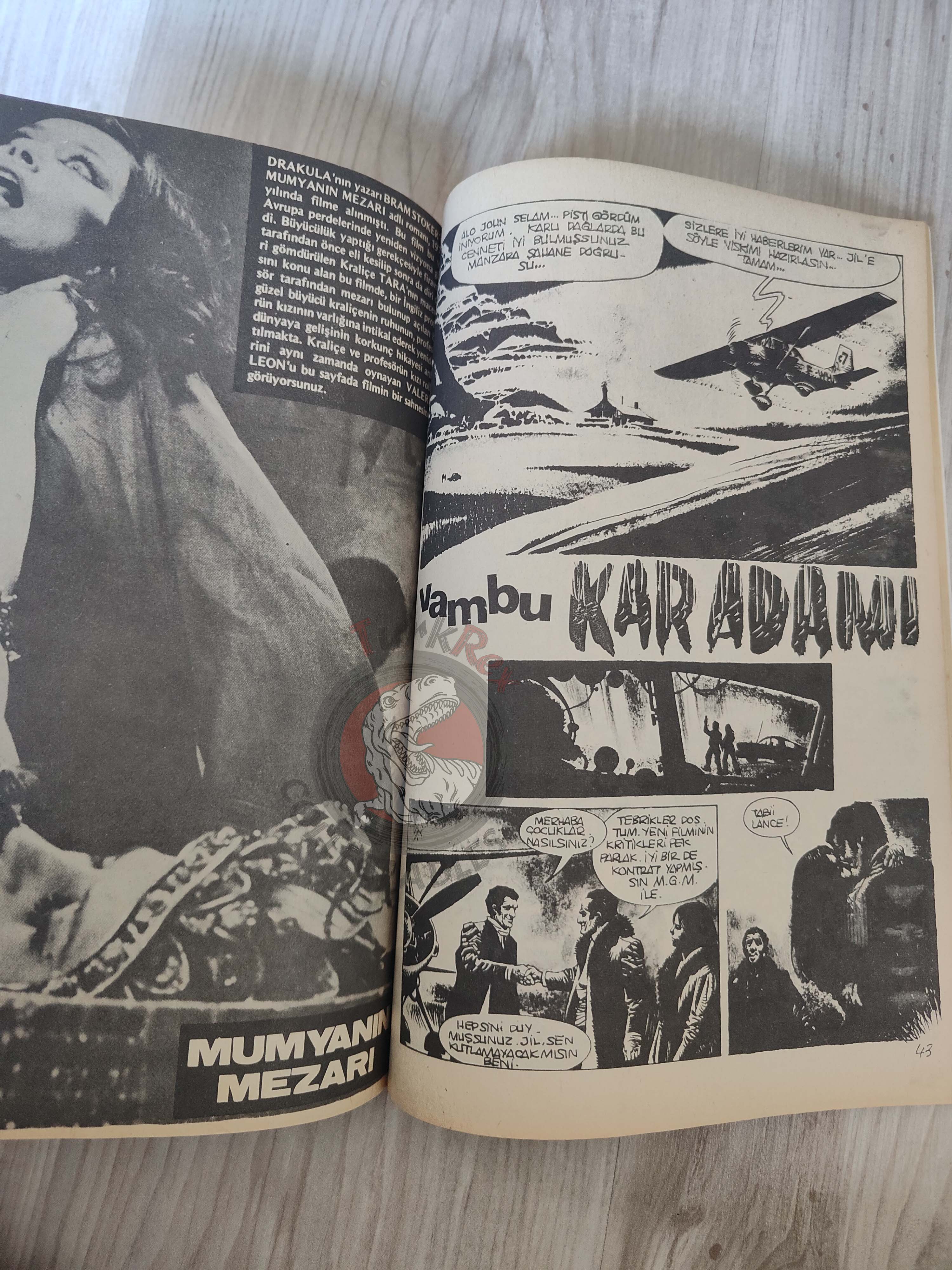 Korku July 1977 Turkish Comic Turkey Eerie #63 Warren Creepy Vampirella
