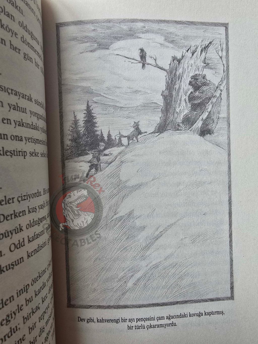 Neil Gaiman – Odd And The Frost Giants 2020 1st Turkish Book Turkey Illustrated