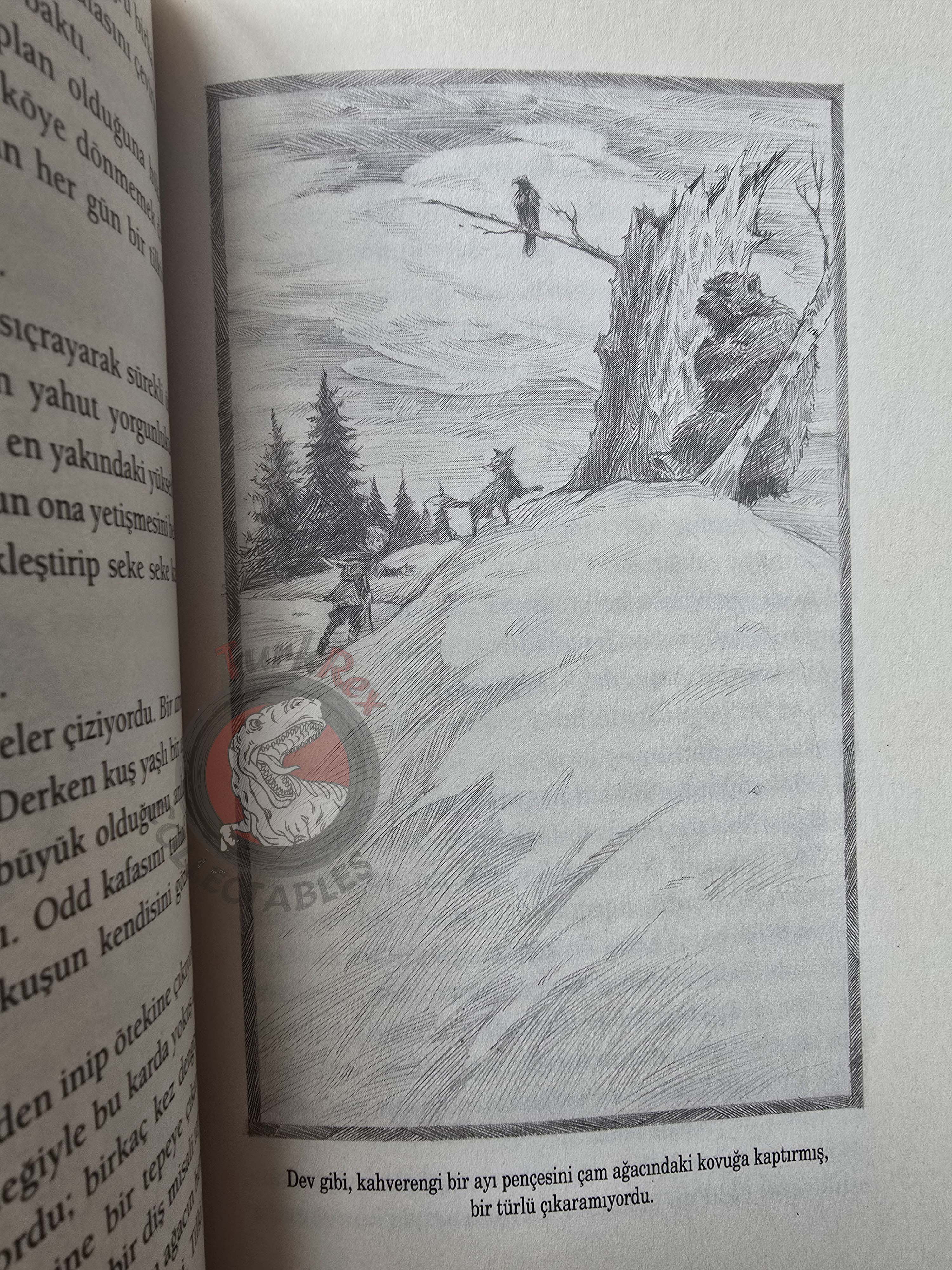 Neil Gaiman – Odd And The Frost Giants 2020 1st Turkish Book Turkey Illustrated