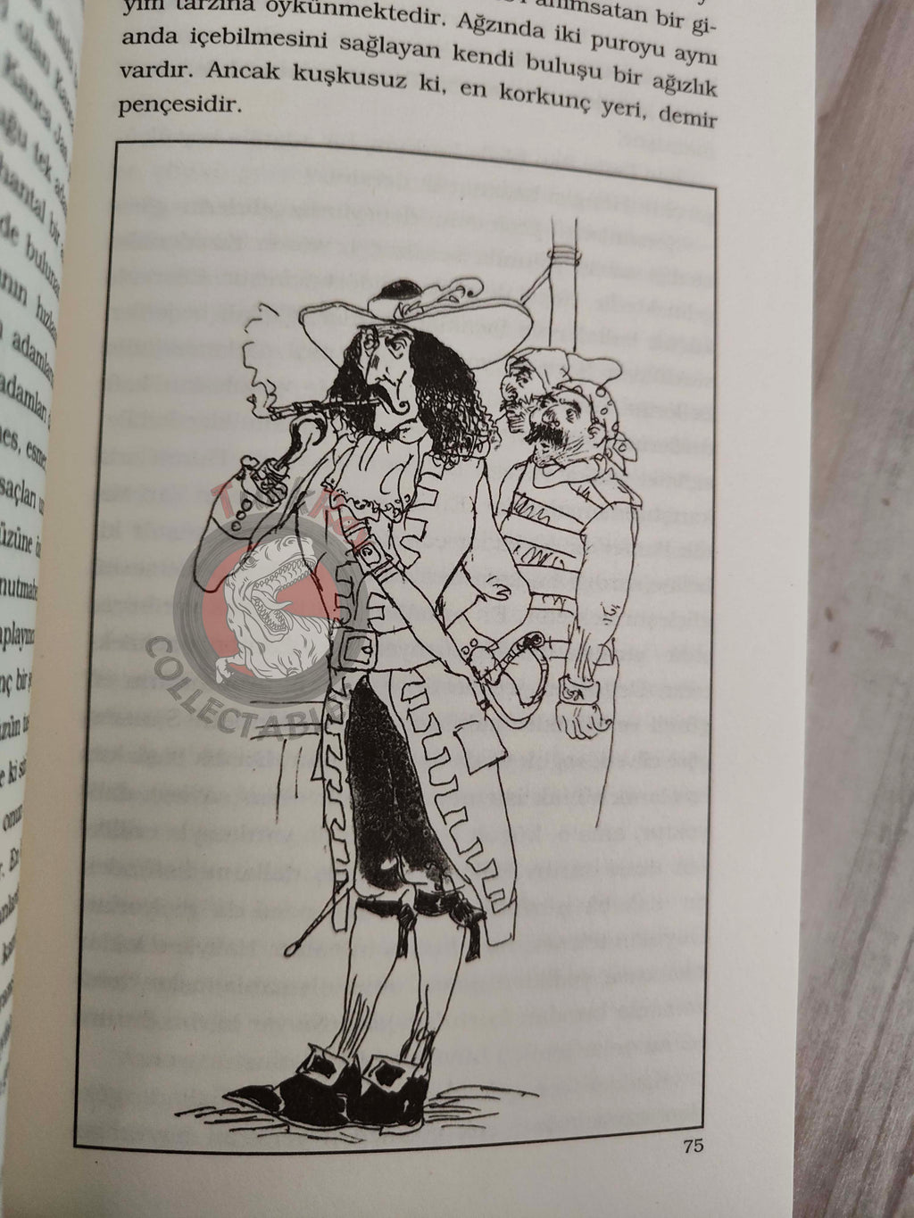 J. M. Barrie – Peter Pan 2012 Turkish Book Turkey Illustrated