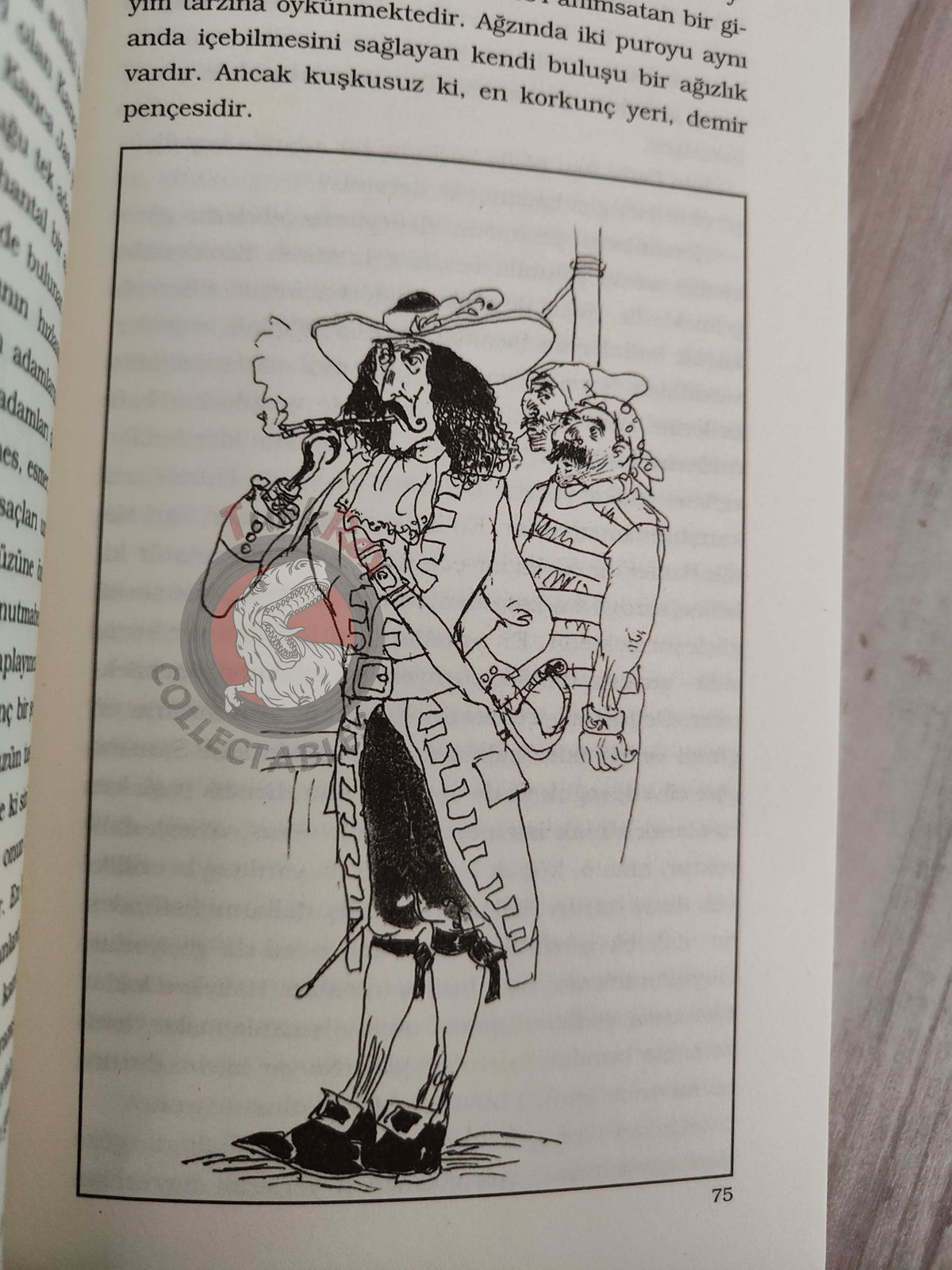 J. M. Barrie – Peter Pan 2012 Turkish Book Turkey Illustrated
