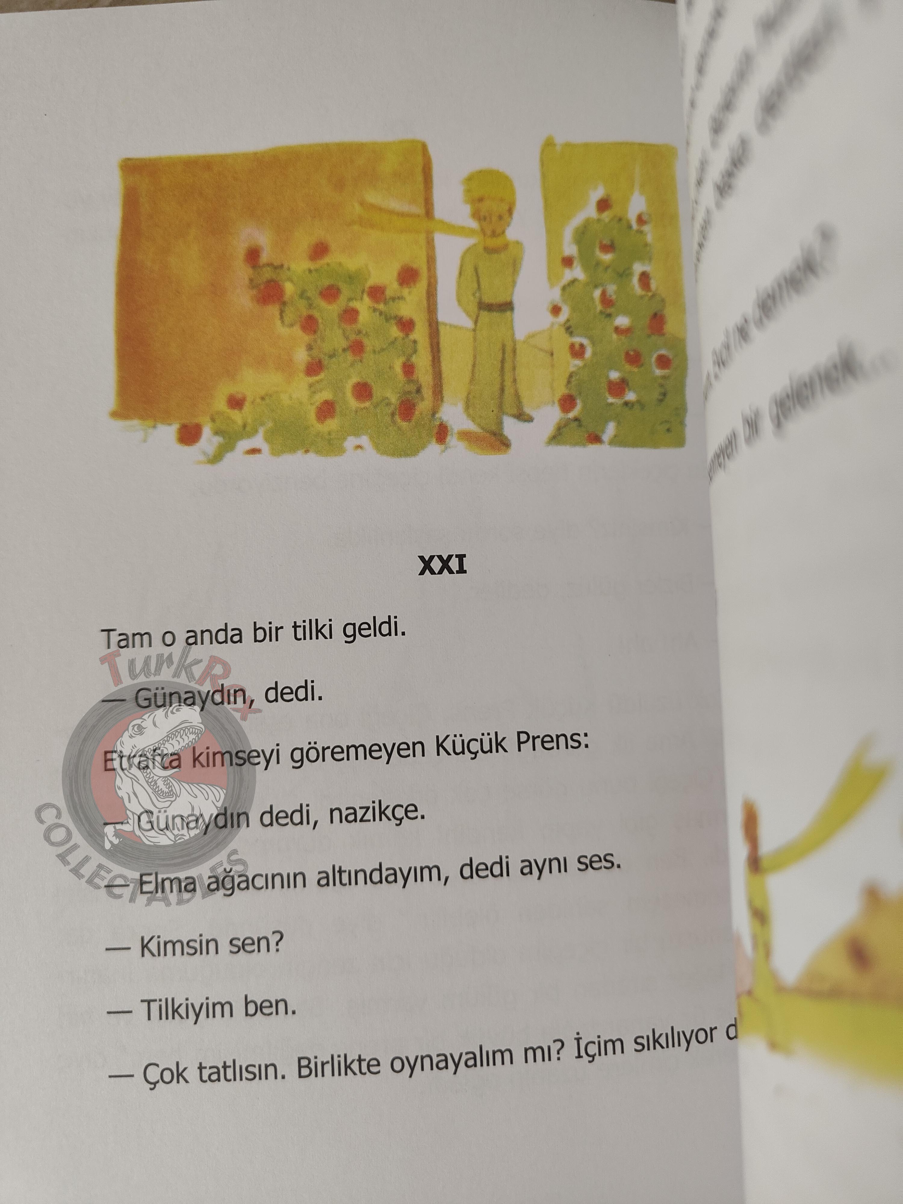 Antoine de Saint-Exupéry – Le Petit Prince 2012 Turkish Book Turkey Illustrated Little
