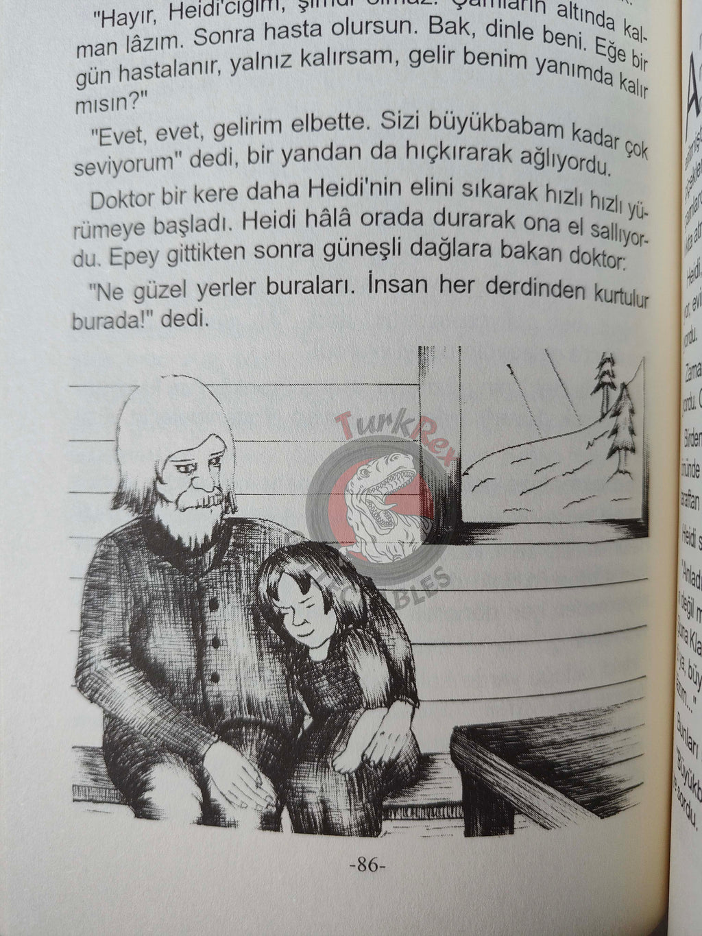 Johanna Spyri – Heidi 2011 Turkish Book Turkey Illustrated