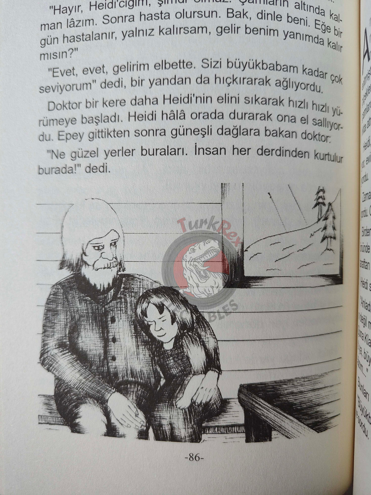 Johanna Spyri – Heidi 2011 Turkish Book Turkey Illustrated