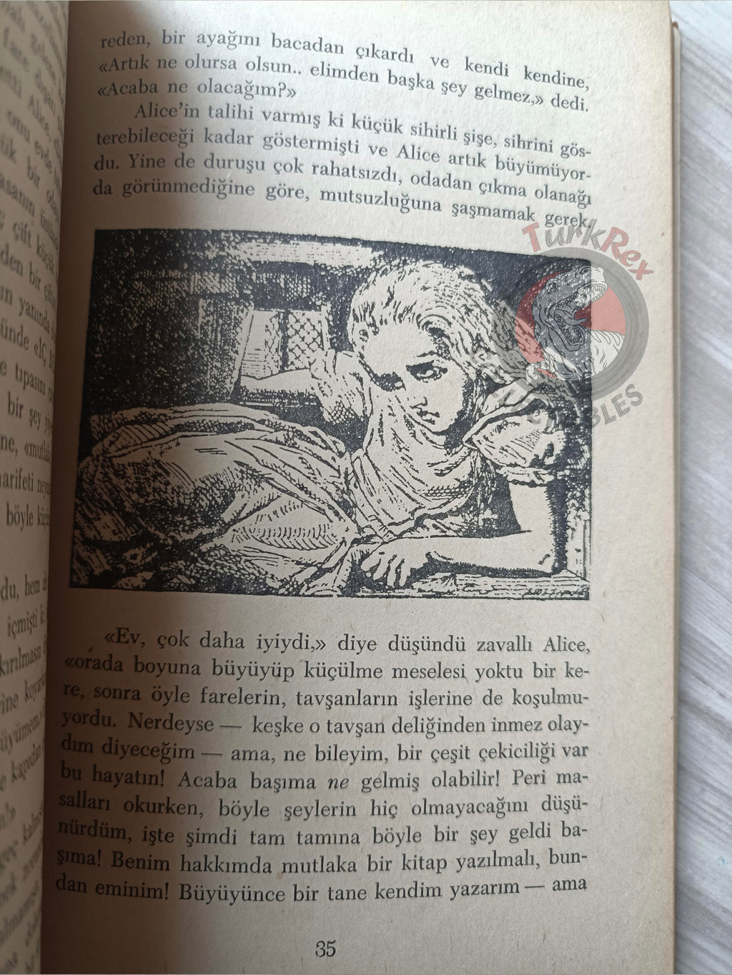 Lewis Carroll – Alice in Wonderland 1969 Turkish Book Turkey Illustrated John Tenniel