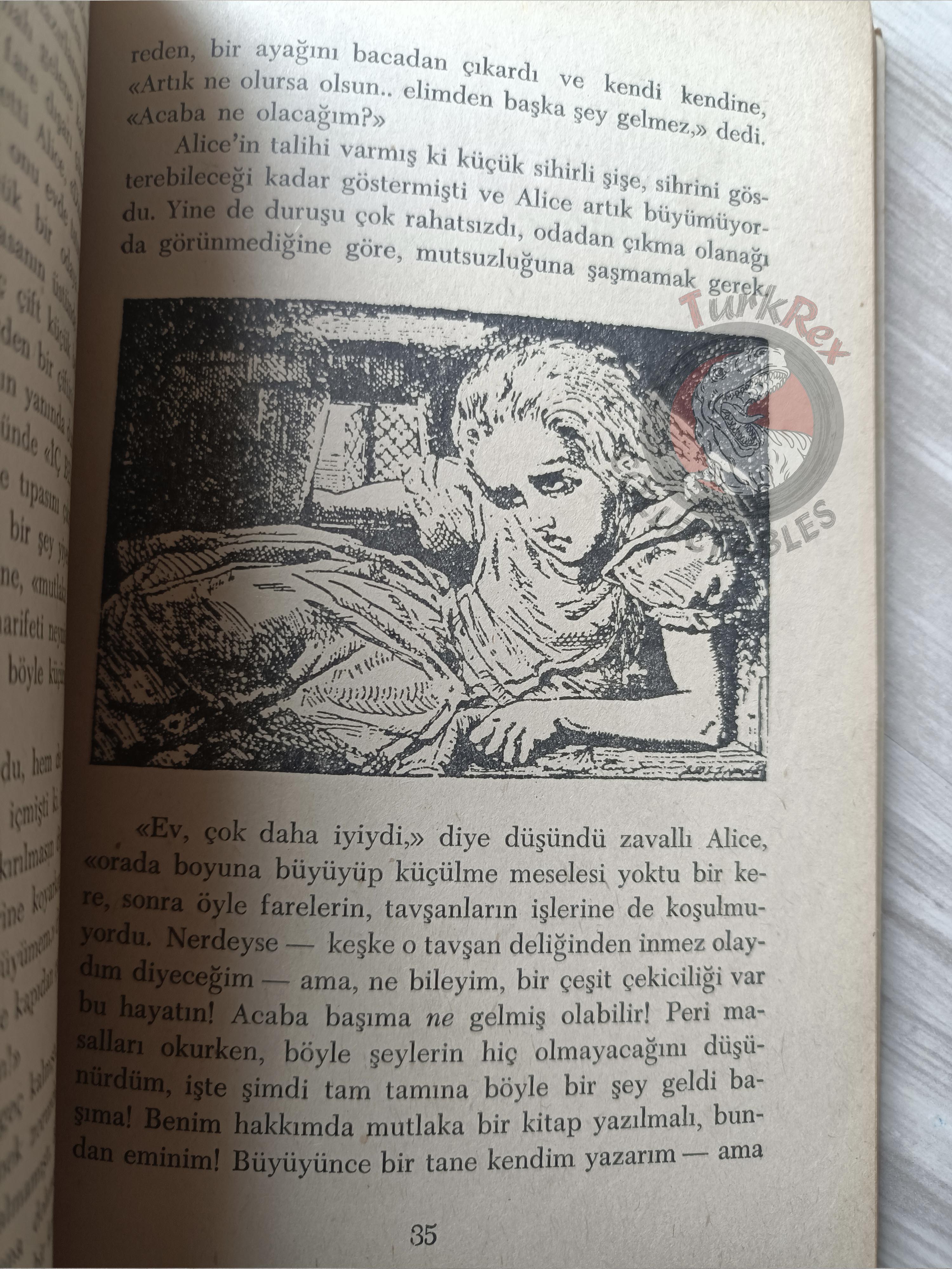 Lewis Carroll – Alice in Wonderland 1969 Turkish Book Turkey Illustrated John Tenniel