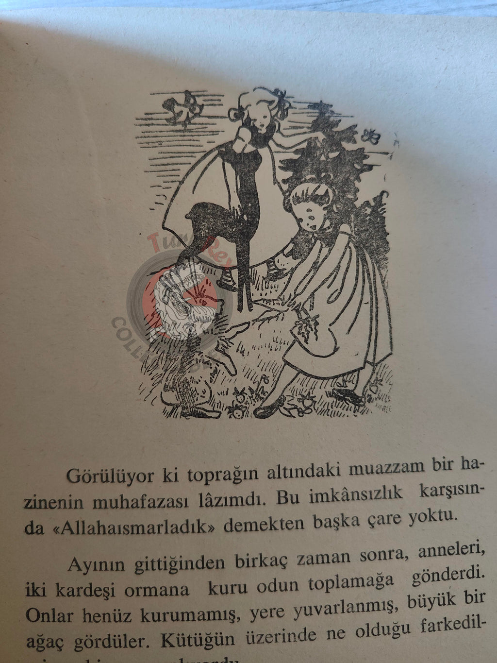 Grimm Brothers –  The Wren and the Bear 1965 Turkish Book Turkey Illustrated