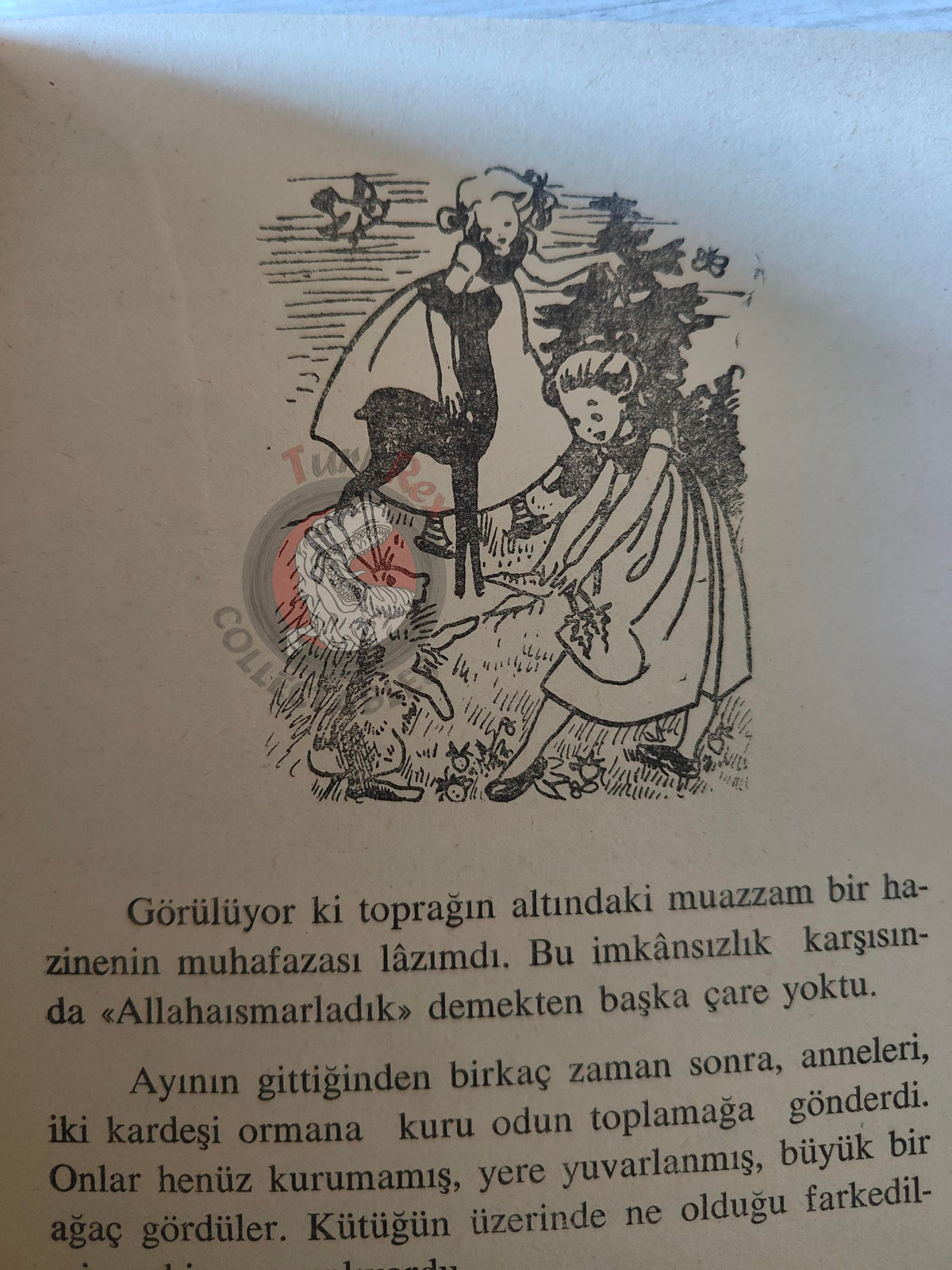 Grimm Brothers –  The Wren and the Bear 1965 Turkish Book Turkey Illustrated