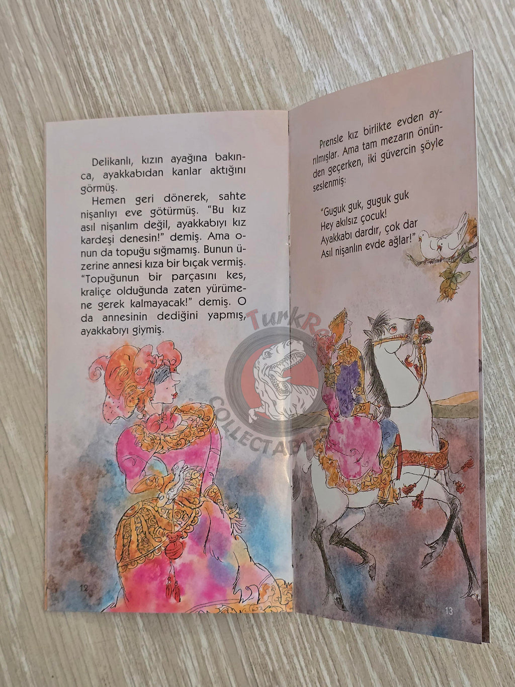 Grimm Brothers – Cinderella 2011 Turkish Book Turkey Illustrated 2