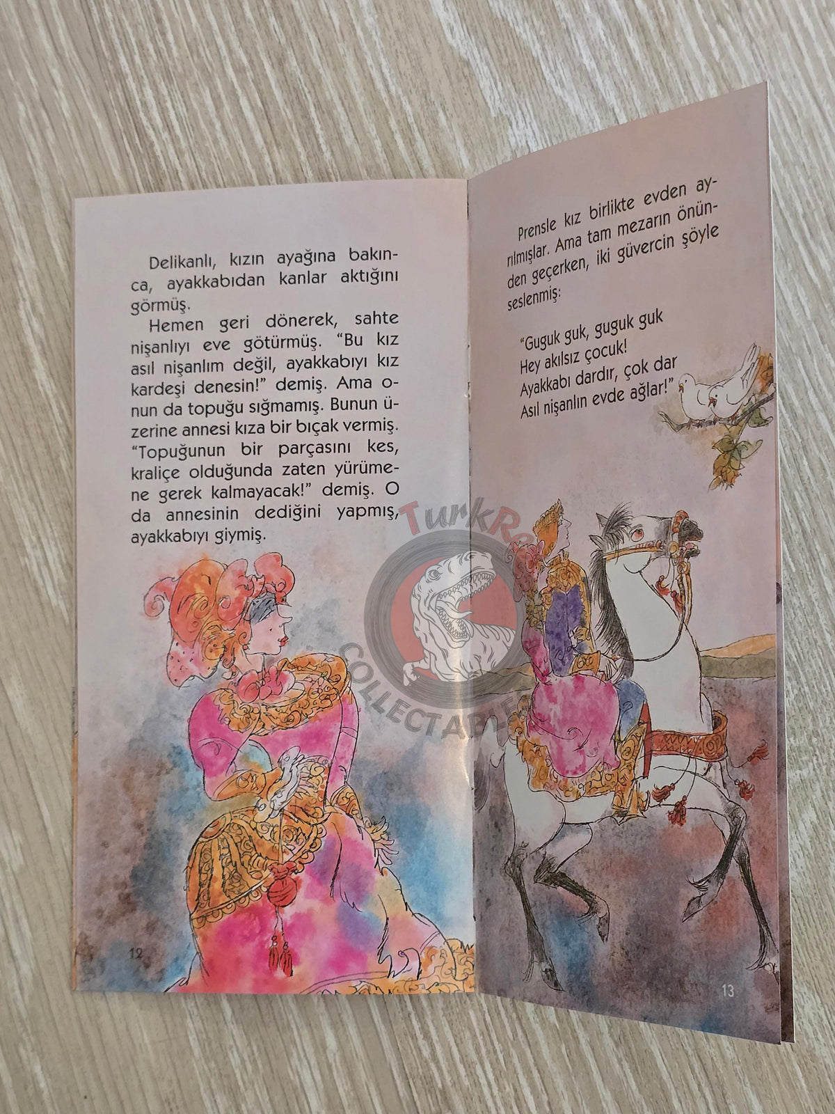 Grimm Brothers – Cinderella 2011 Turkish Book Turkey Illustrated 2