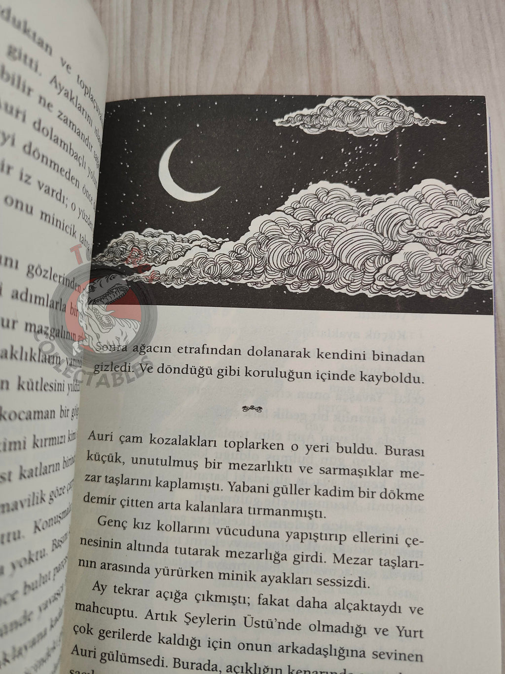 Patrick Rothfuss  – The Slow Regard of Silent Things 2015 1st Turkish Book Turkey