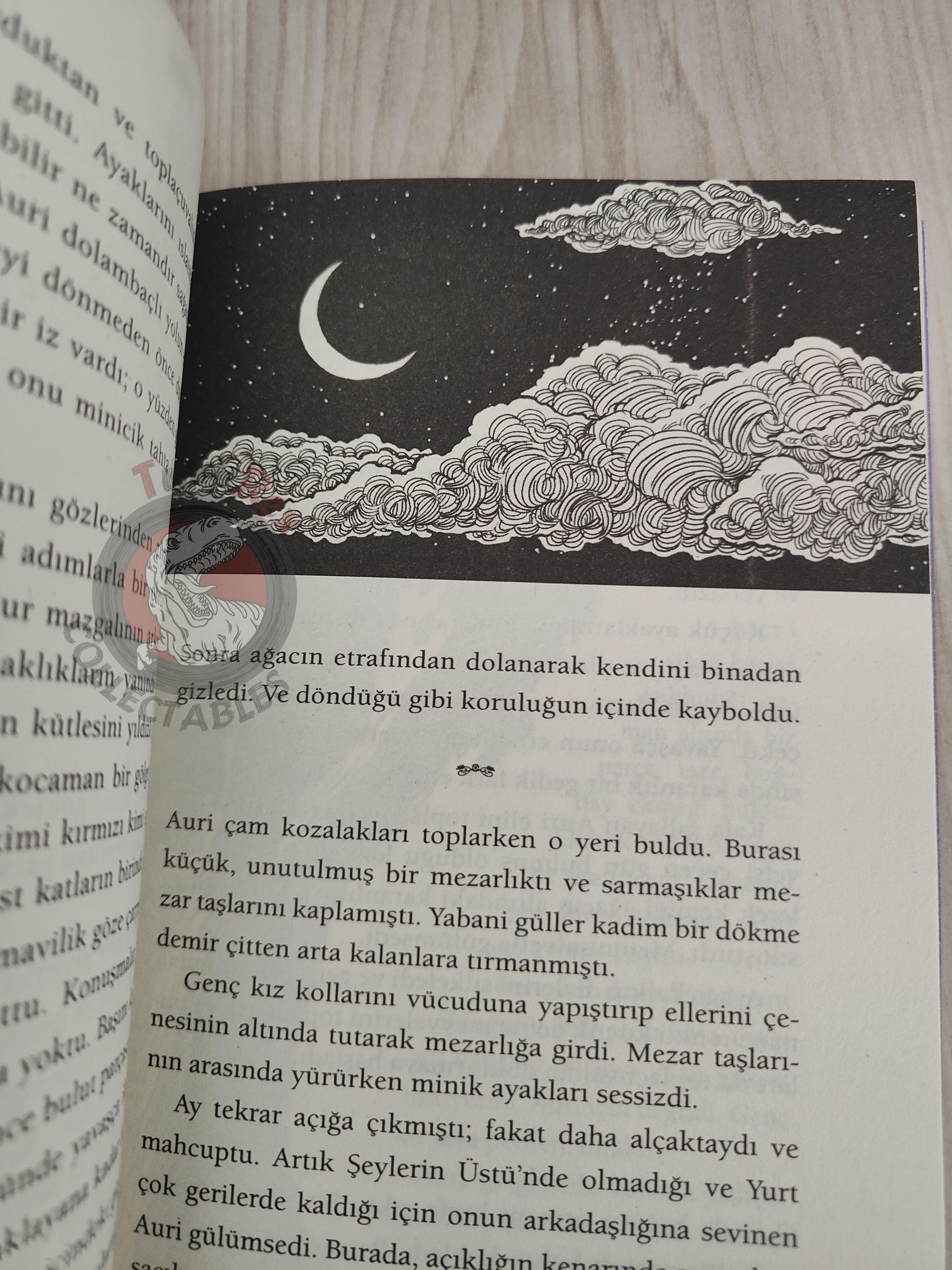 Patrick Rothfuss  – The Slow Regard of Silent Things 2015 1st Turkish Book Turkey
