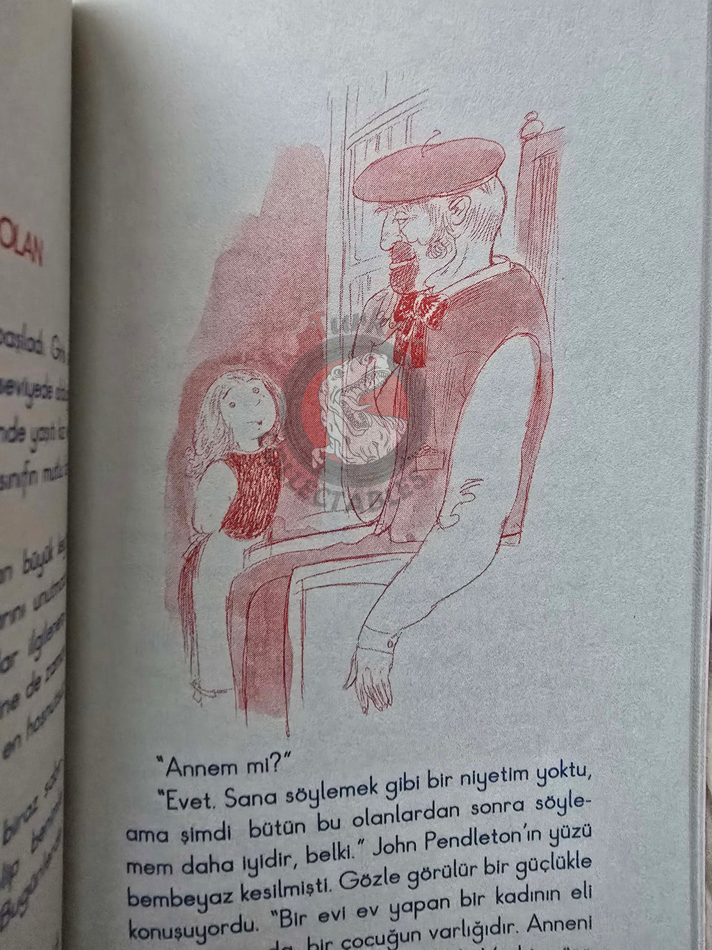 Eleanor H. Porter – Pollyanna 2010 Turkish Book Turkey Illustrated