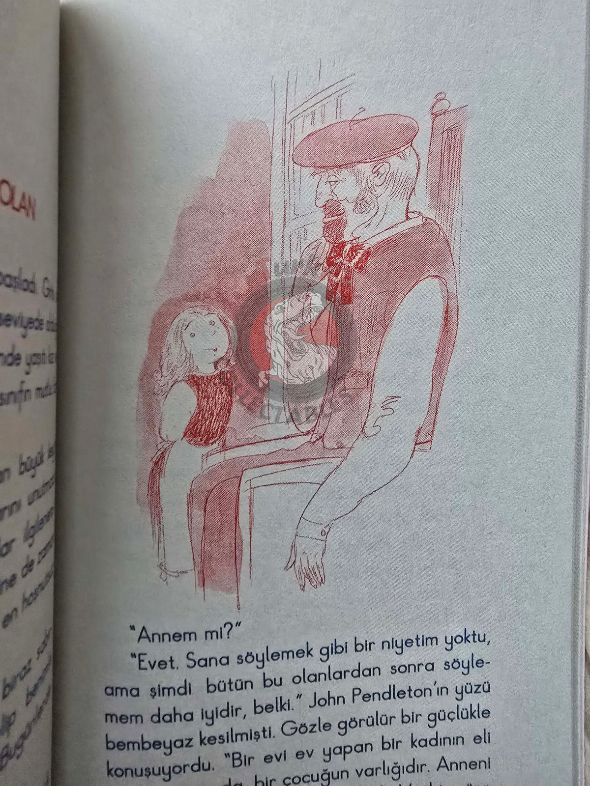 Eleanor H. Porter – Pollyanna 2010 Turkish Book Turkey Illustrated