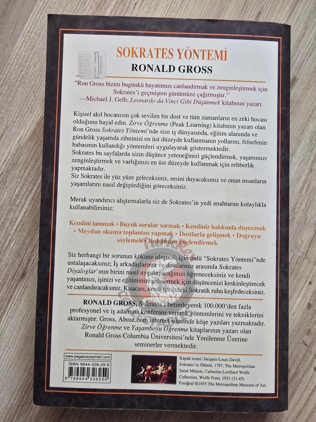 Ronald Gross – The Socrates Method 2006 Turkish Book Turkey