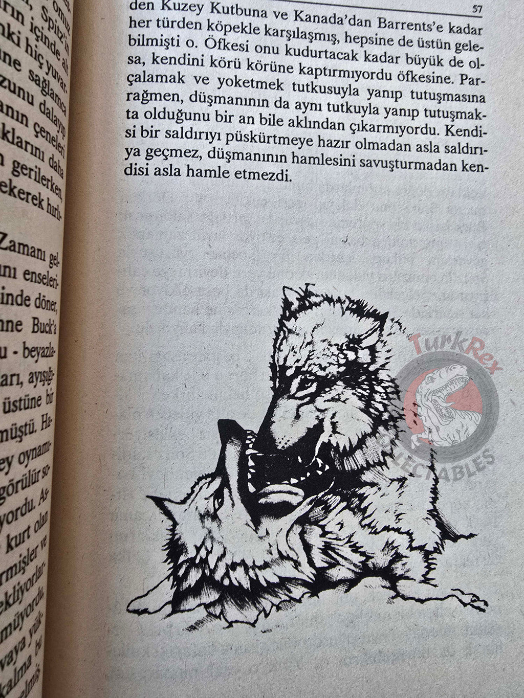 Jack London – The Call of the Wild 1996 Turkish Book Turkey Illustrated