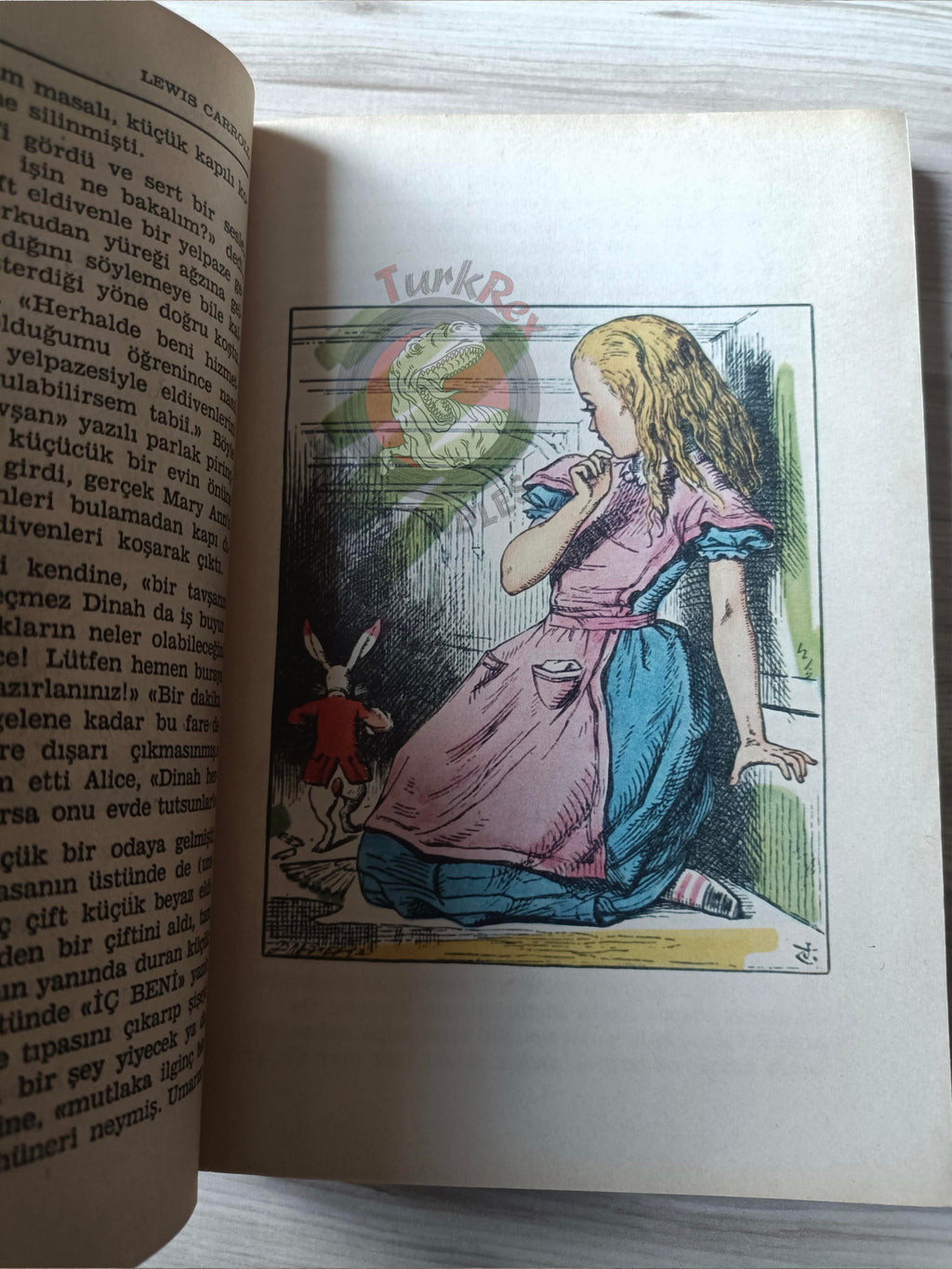 Lewis Carroll – Alice in Wonderland 1985 Turkish Book Turkey Illustrated John Tenniel