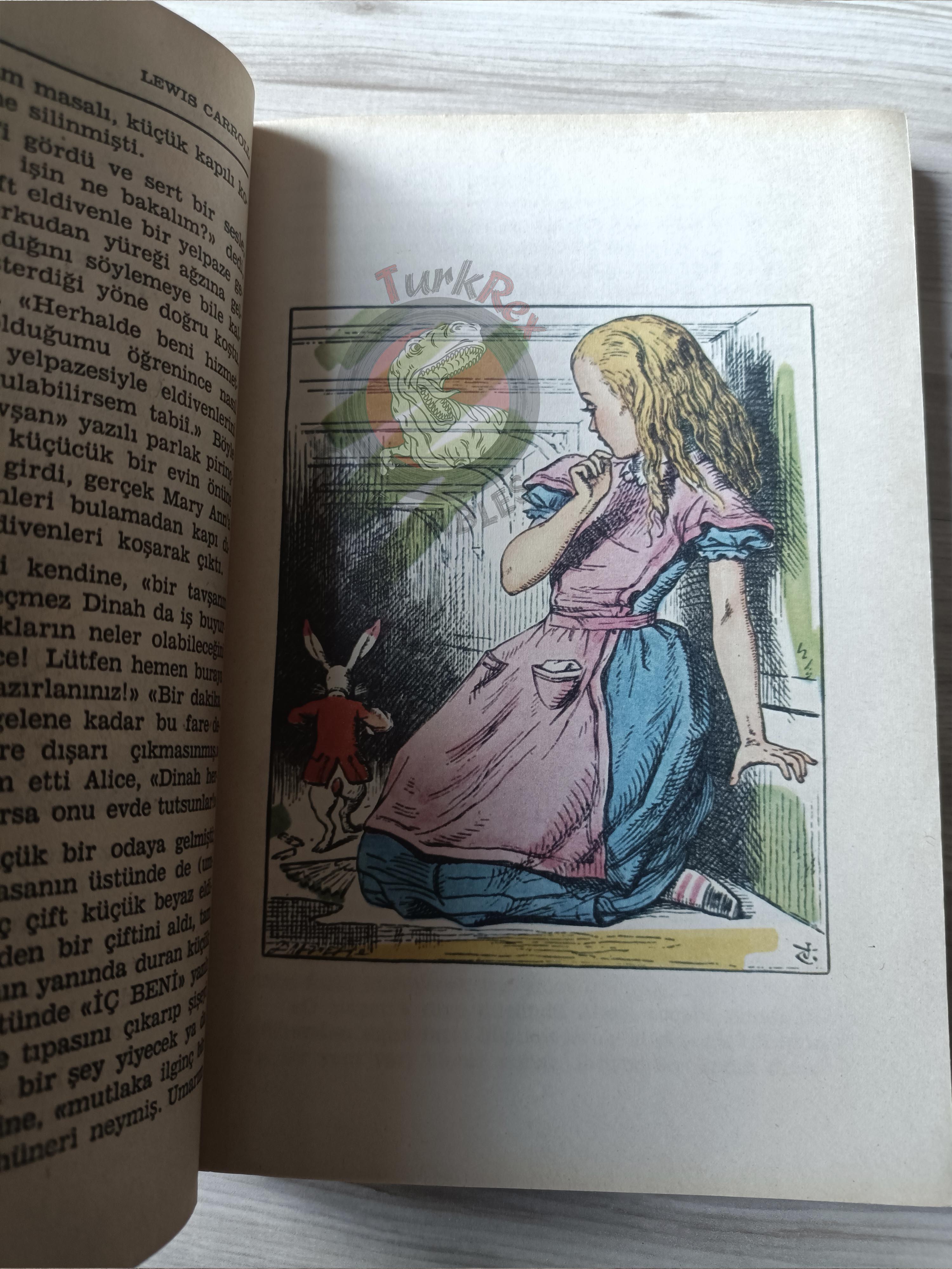 Lewis Carroll – Alice in Wonderland 1985 Turkish Book Turkey Illustrated John Tenniel