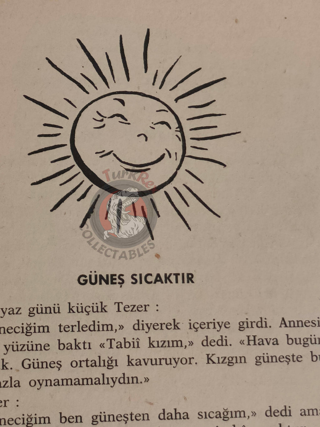 Bertha Morris Parker – Basic Science Education Series 1969 Turkish Book Turkey Sound Sun