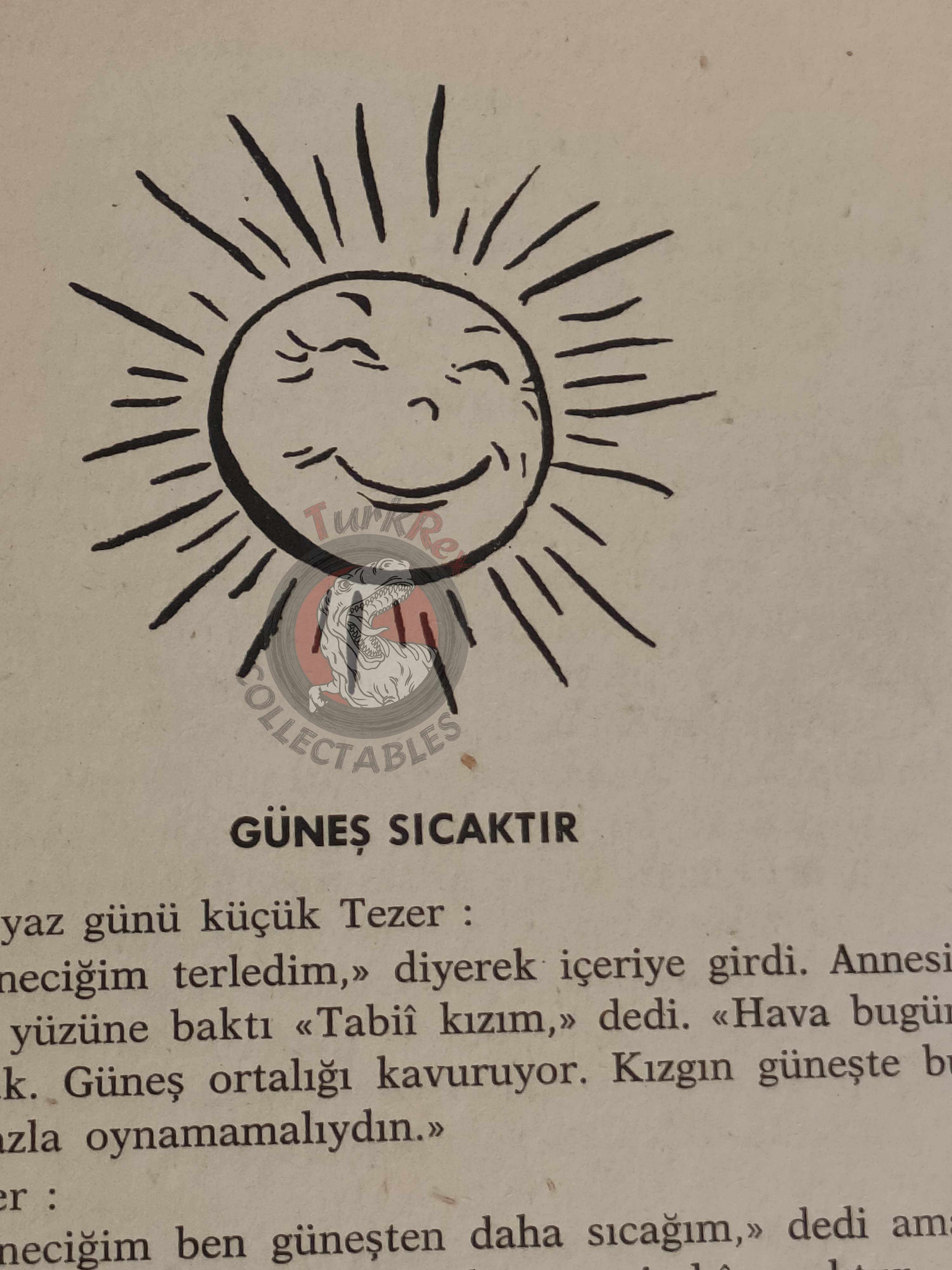 Bertha Morris Parker – Basic Science Education Series 1969 Turkish Book Turkey Sound Sun