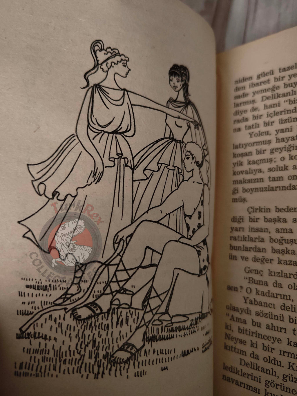 Nathaniel Hawthorne – A Wonderbook for Girls and Boys 1964 Turkish Book Turkey Illustrated