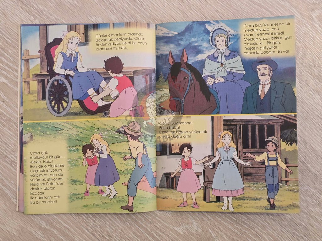 Johanna Spyri – Heidi 2005 Turkish Book Turkey Illustrated