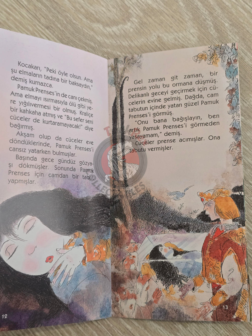 Grimm Brothers – Snow White and the Seven Dwarfs 2011 Turkish Book Turkey Illustrated 2