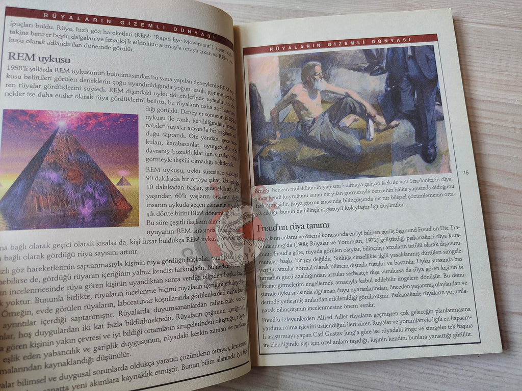 Dream Interpretation Analysis 2006 Turkish Book Turkey