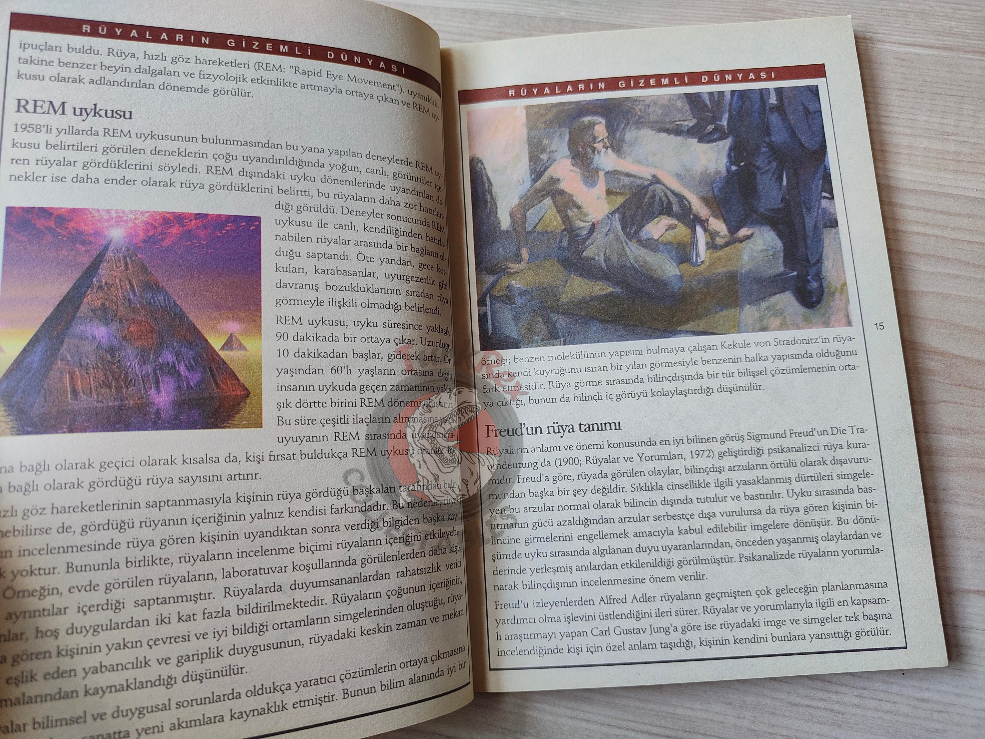 Dream Interpretation Analysis 2006 Turkish Book Turkey