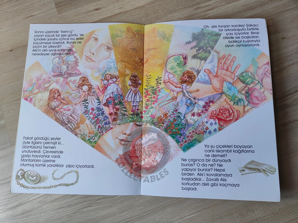 Lewis Carroll – Alice in Wonderland 2002 Turkish Book Turkey Illustrated Serenella Del Vita