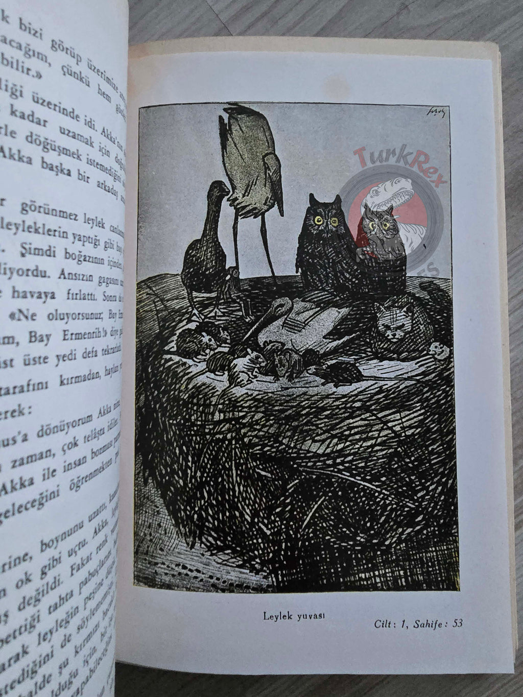 Selma Lagerlöf – The Wonderful Adventures Of Nils 1951 1st Illustrated Turkish Book Turkey