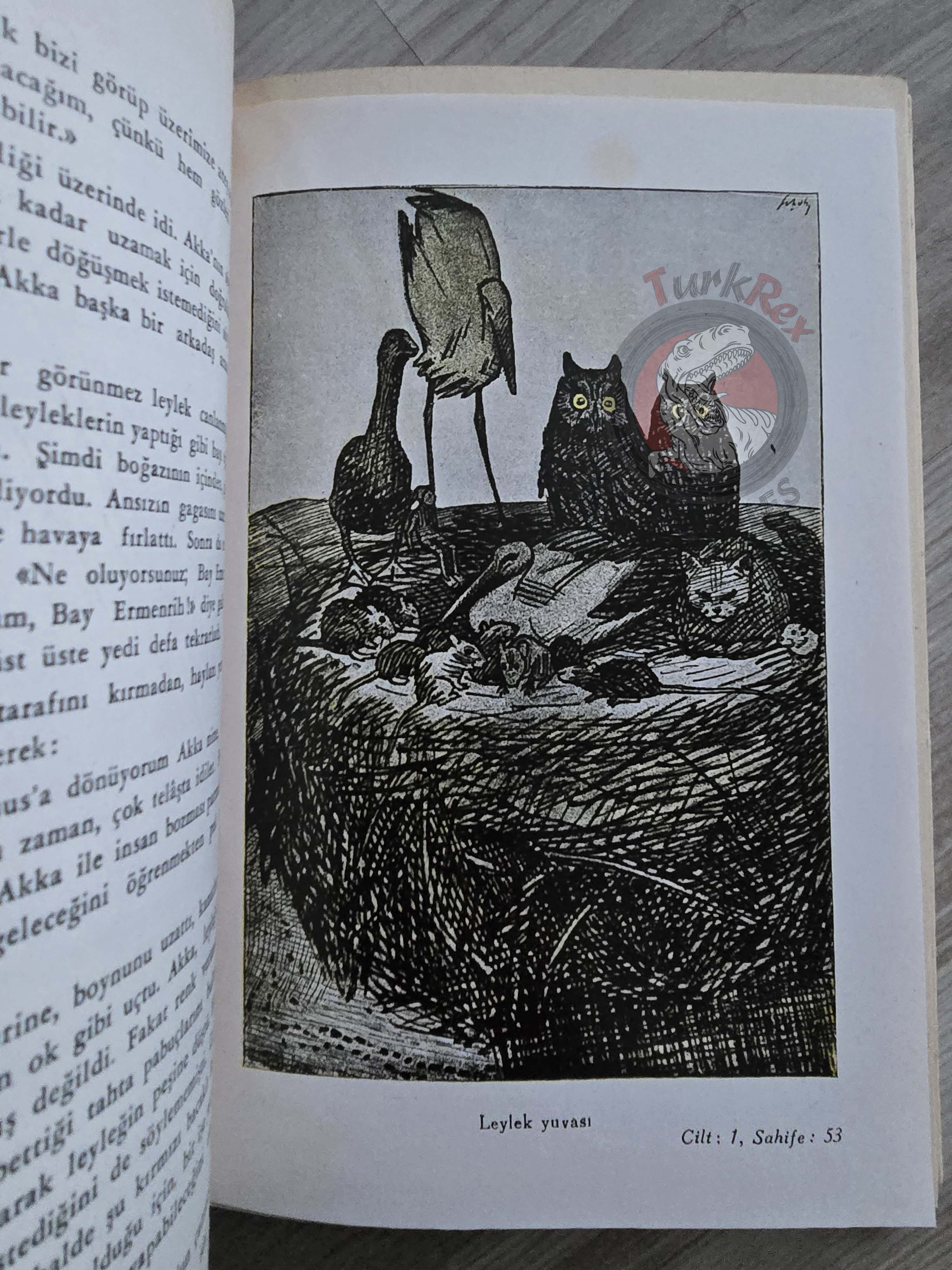 Selma Lagerlöf – The Wonderful Adventures Of Nils 1951 1st Illustrated Turkish Book Turkey